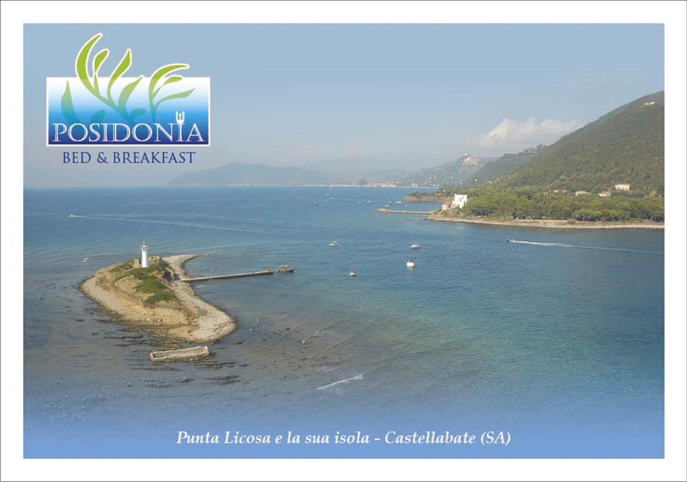 B&B Posidonia