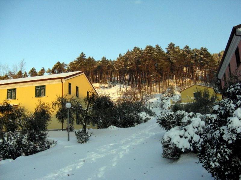 Photo 49