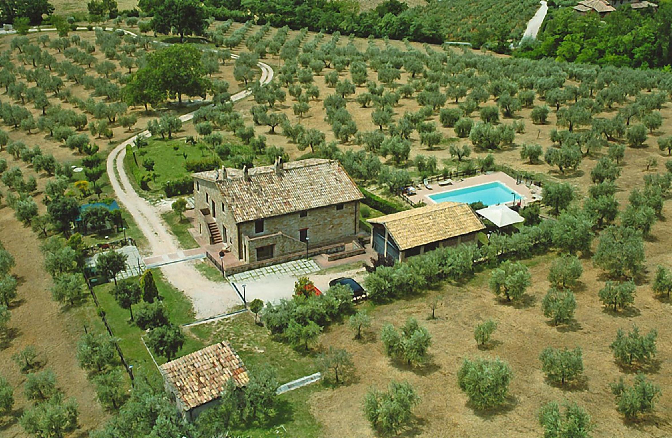 Photo 38