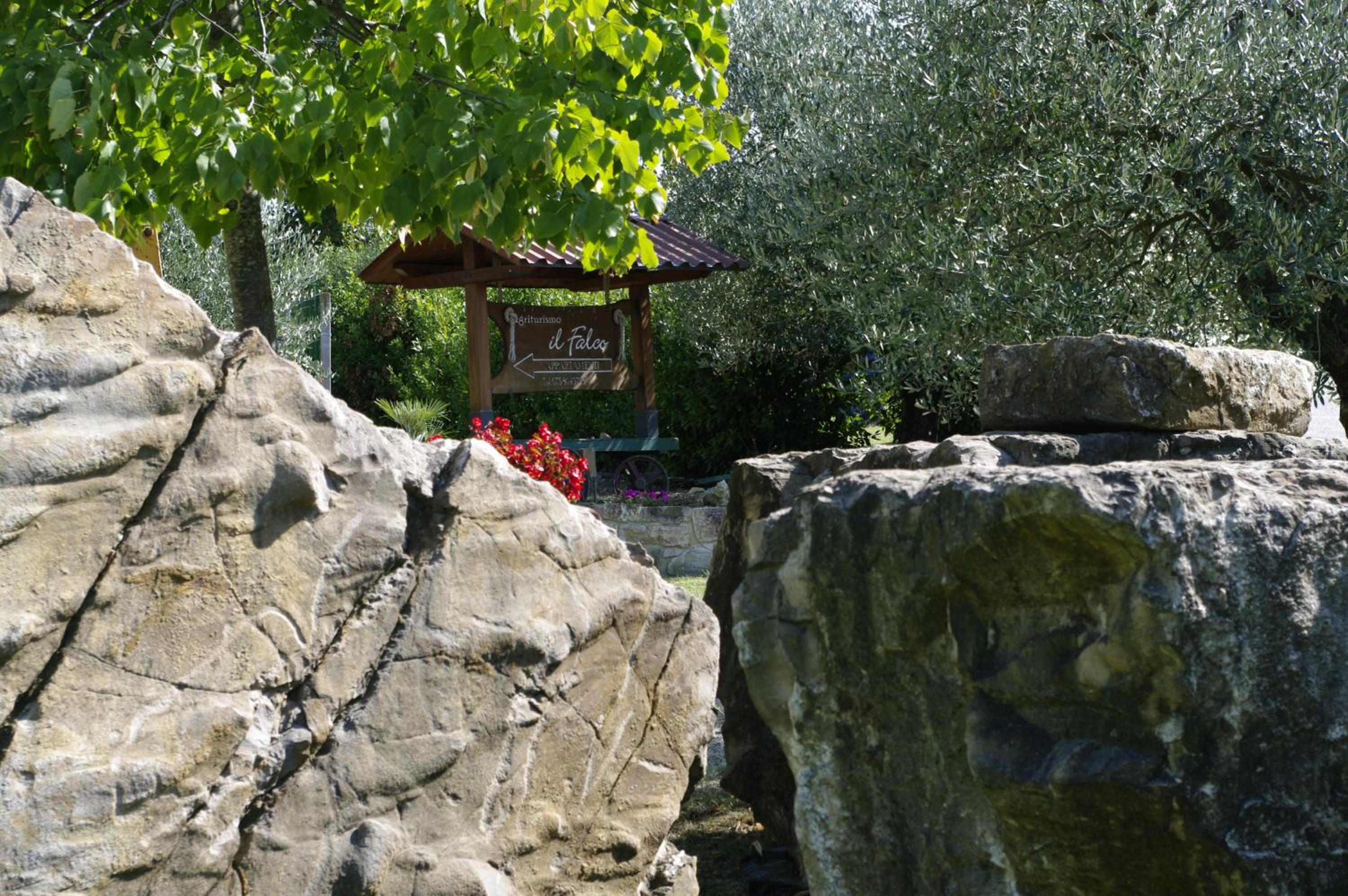 Photo 44