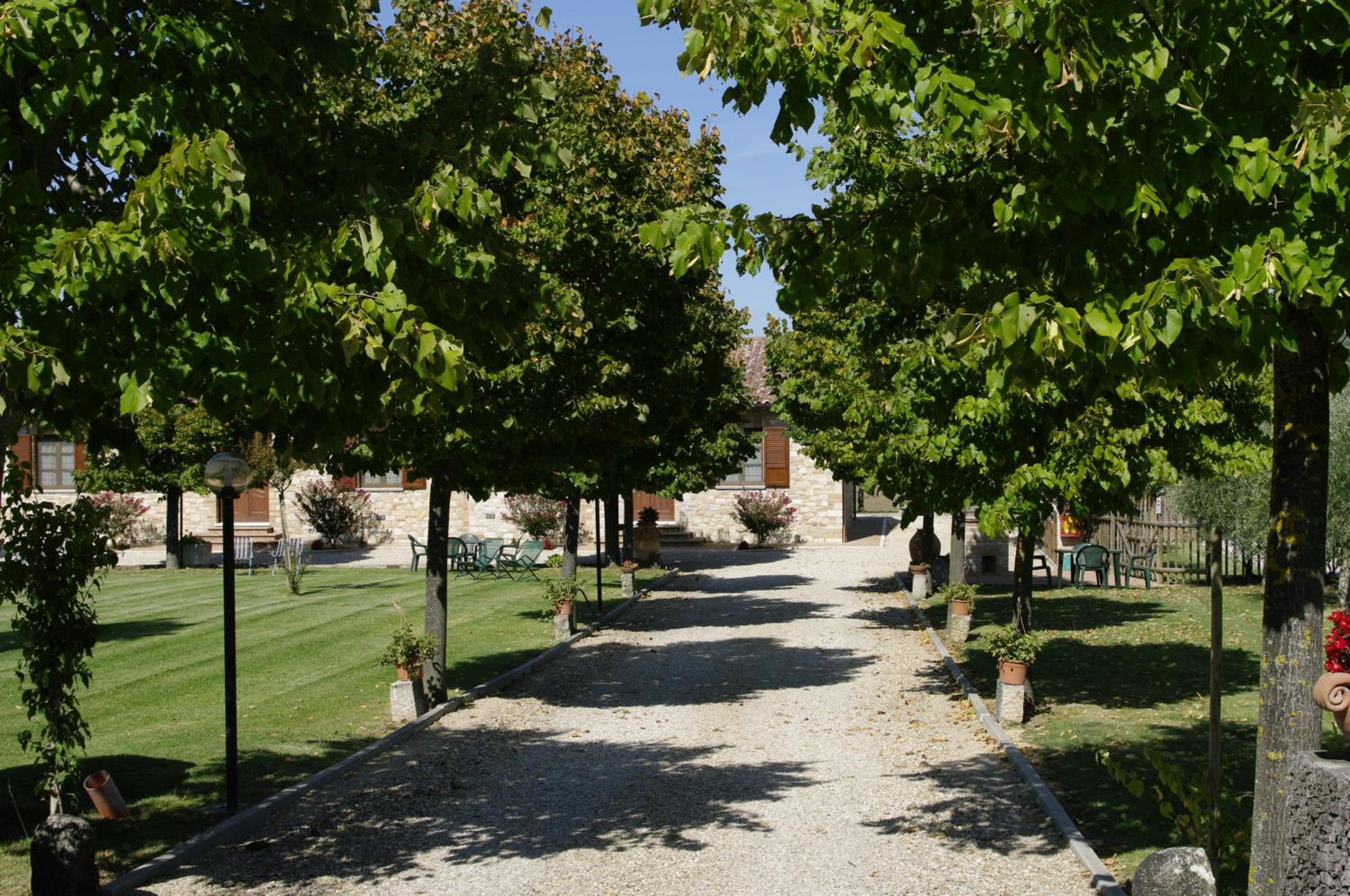 Photo 45