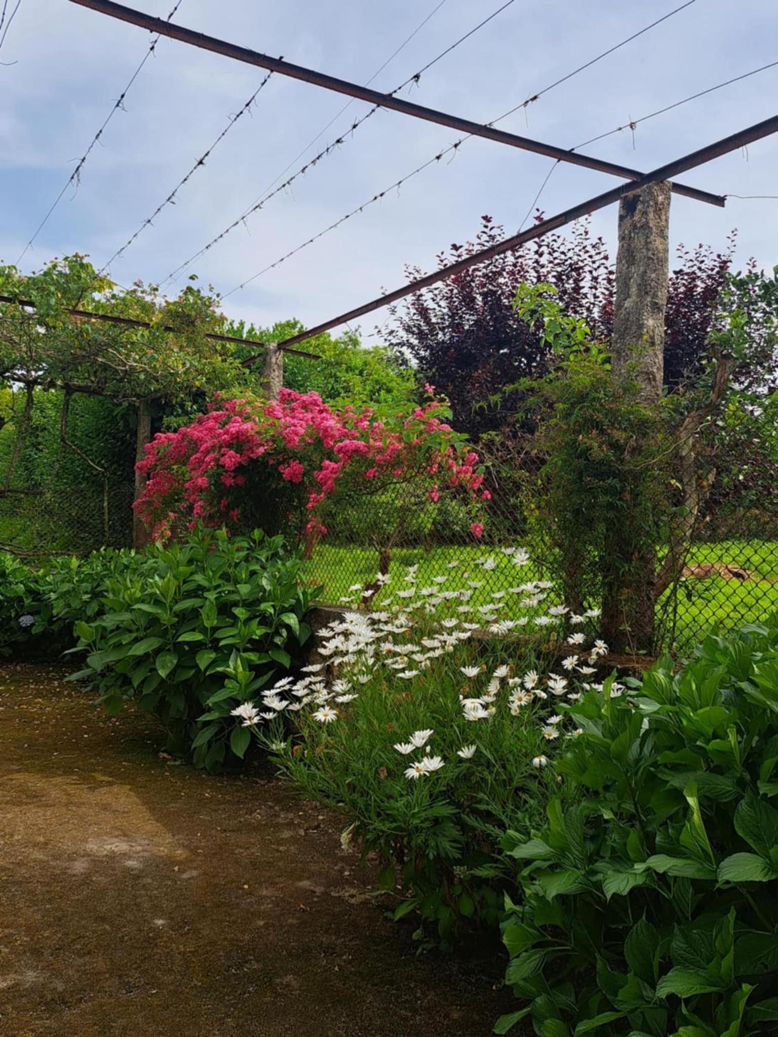 Quinta do Vale do Monte, photo 45