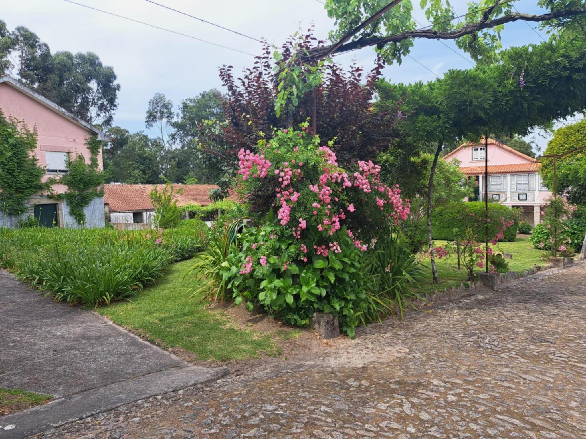 Quinta do Vale do Monte, photo 19