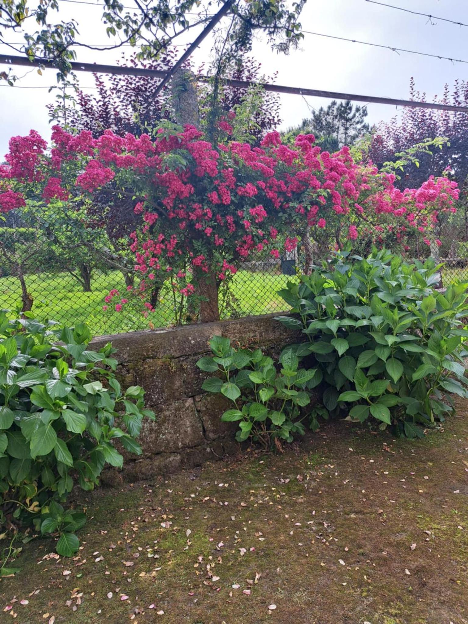 Quinta do Vale do Monte, photo 37