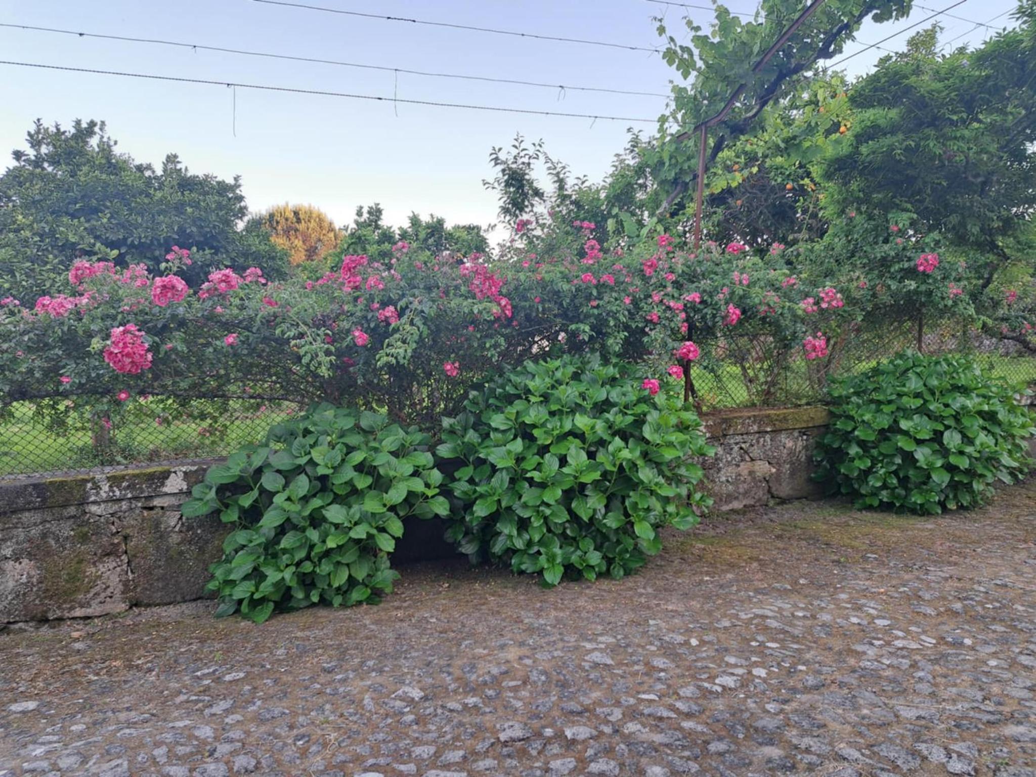 Quinta do Vale do Monte, photo 16