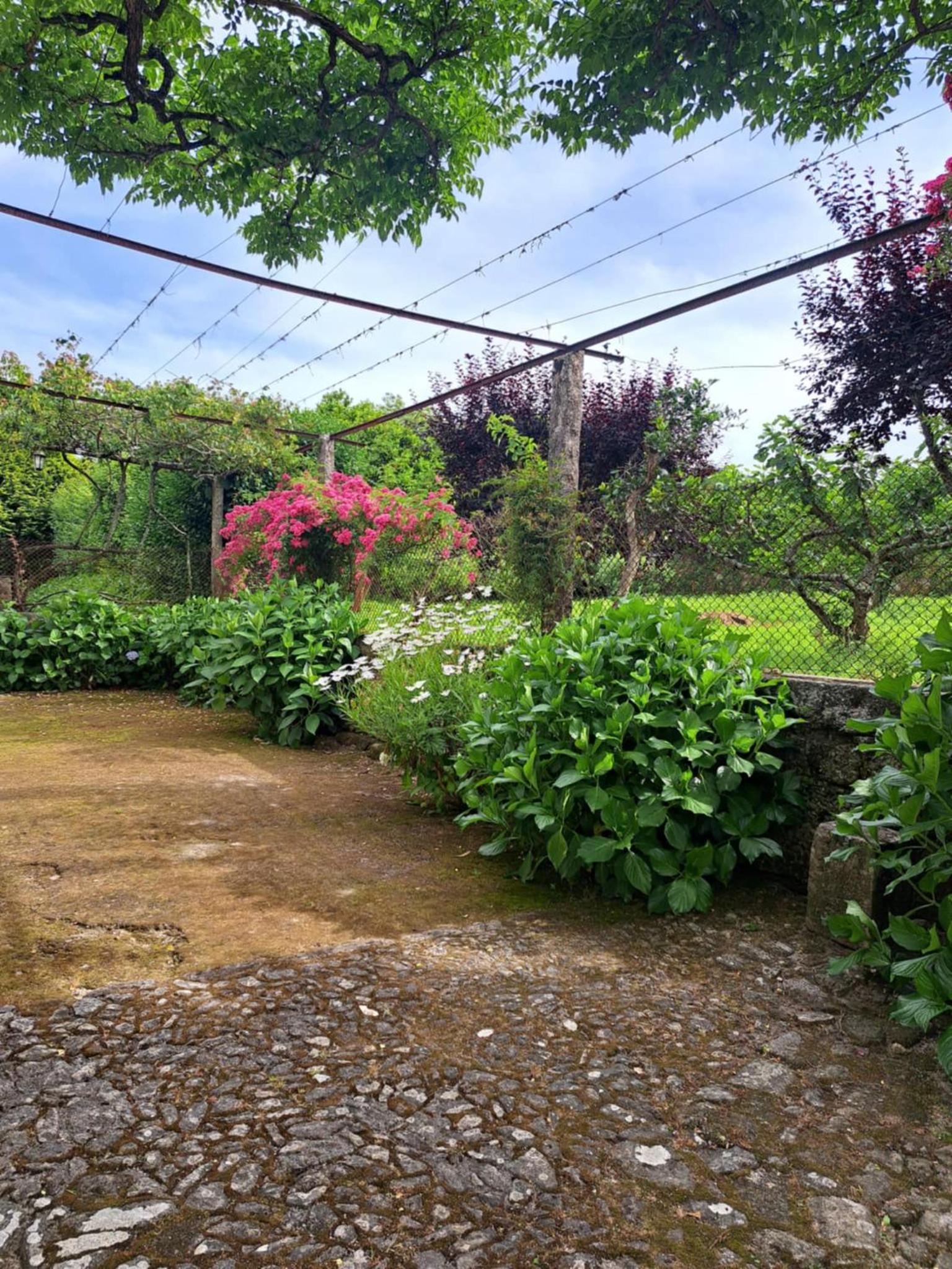 Quinta do Vale do Monte, photo 3