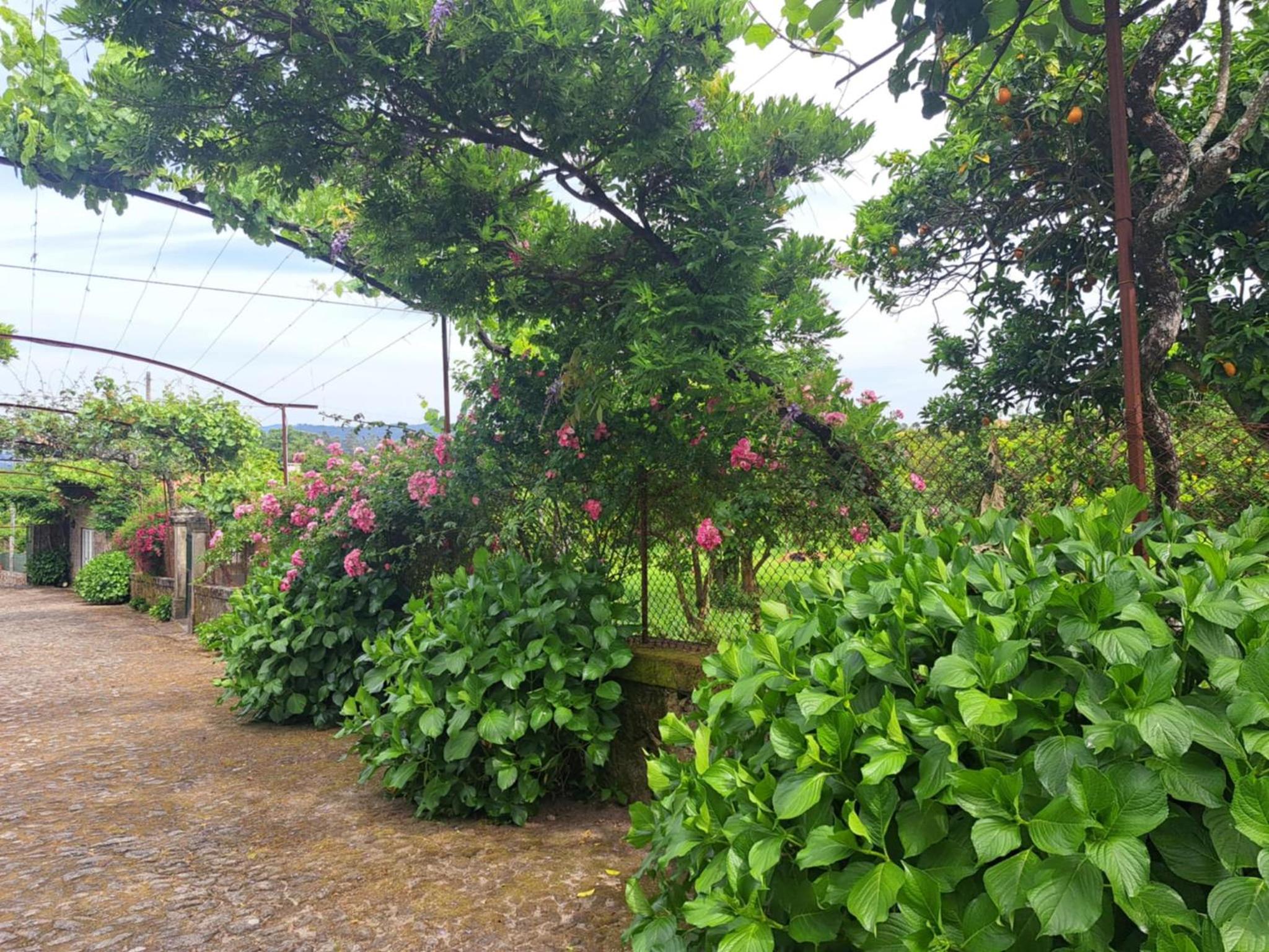 Quinta do Vale do Monte, photo 17