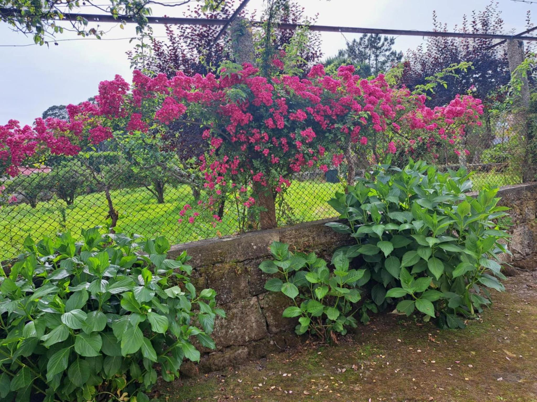 Quinta do Vale do Monte, photo 2