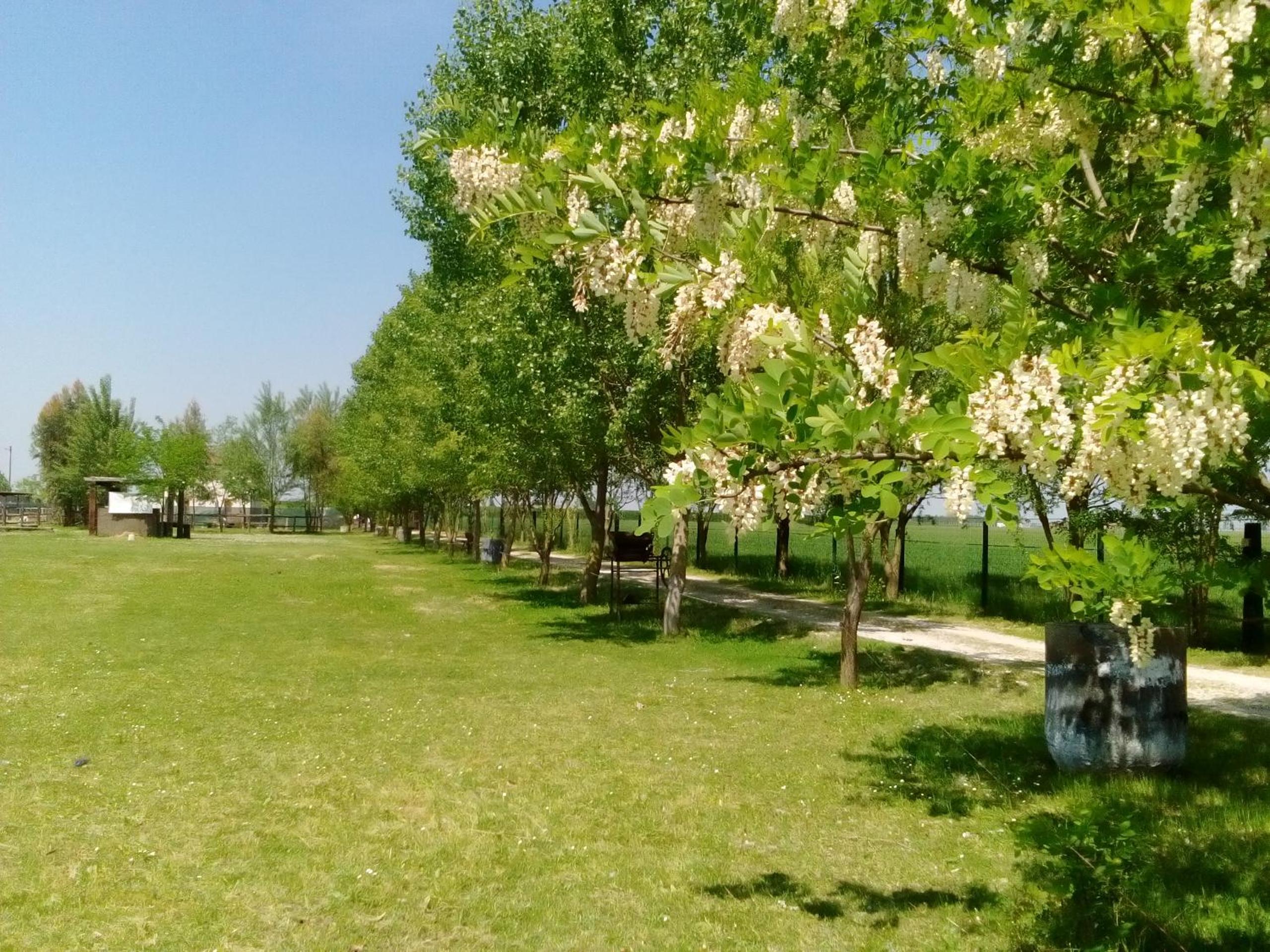 Antico Casale dei Sogni agriturismo