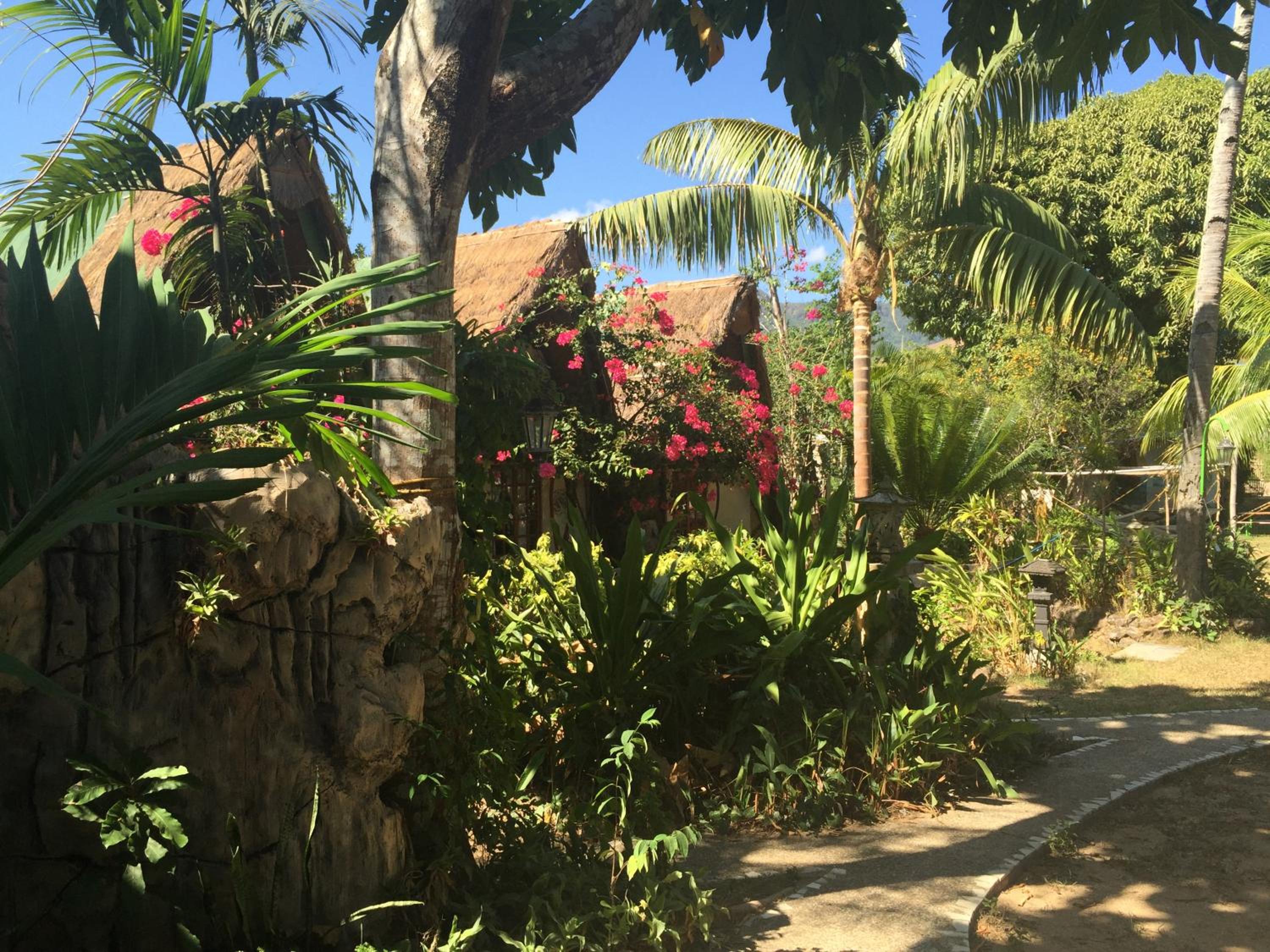 Kokosnuss Garden Resort