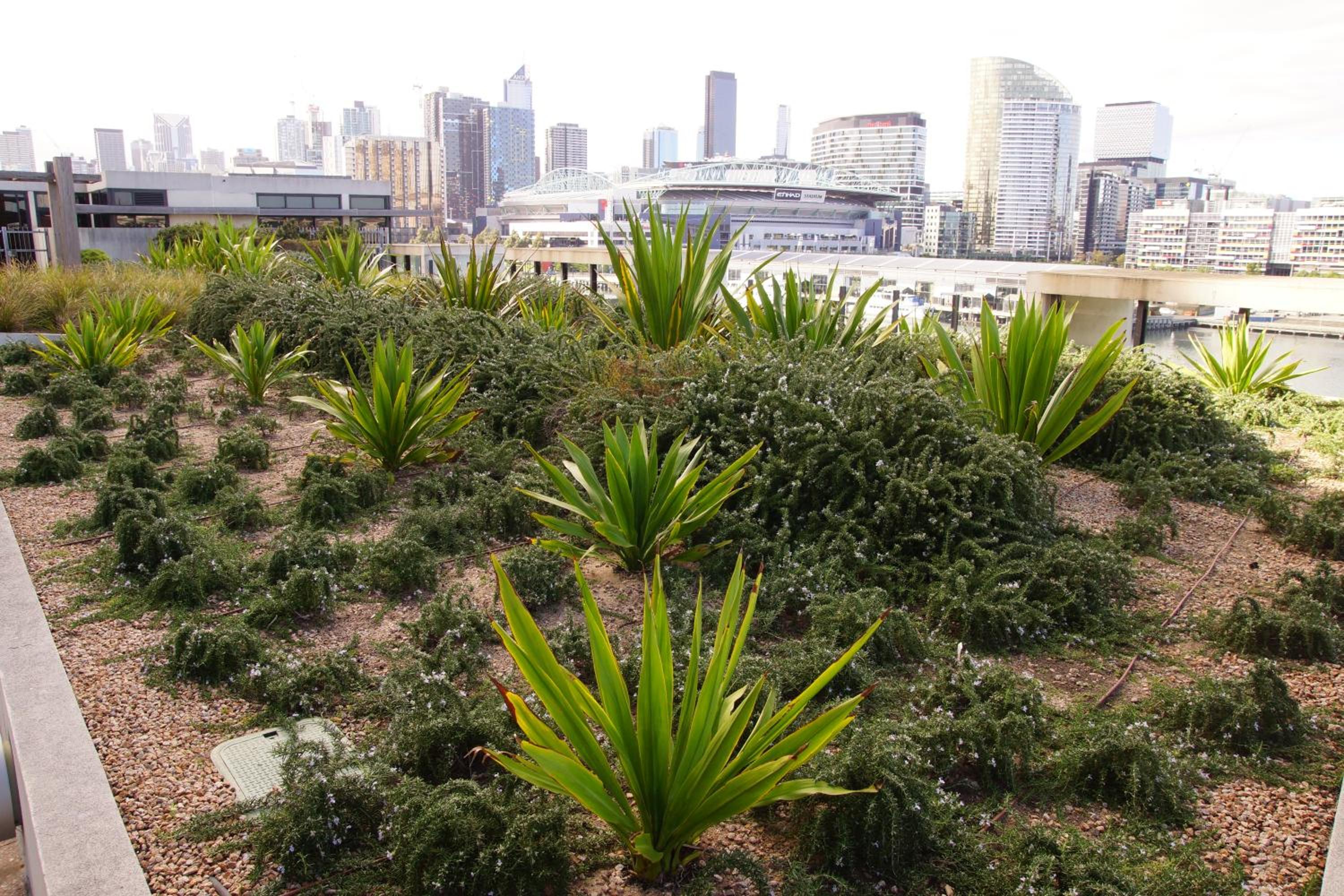 Accent Accommodation@Docklands