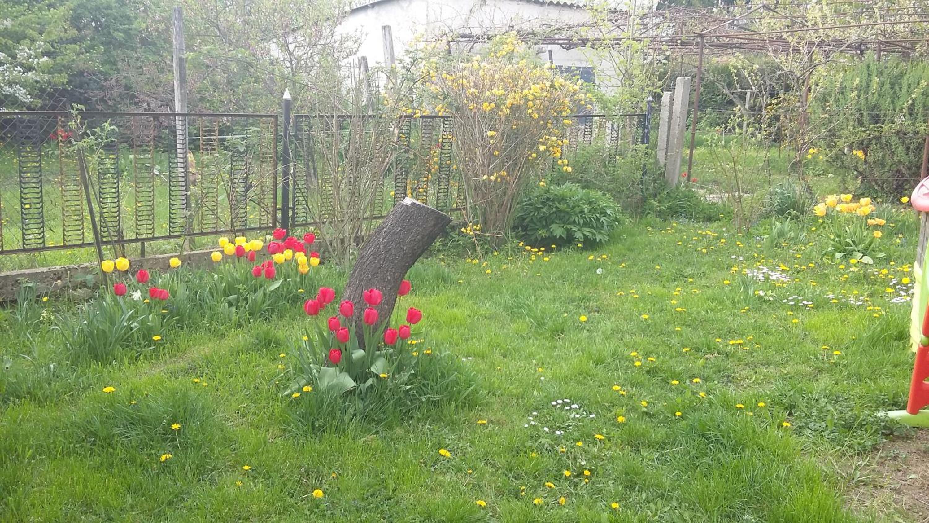 Photo 8