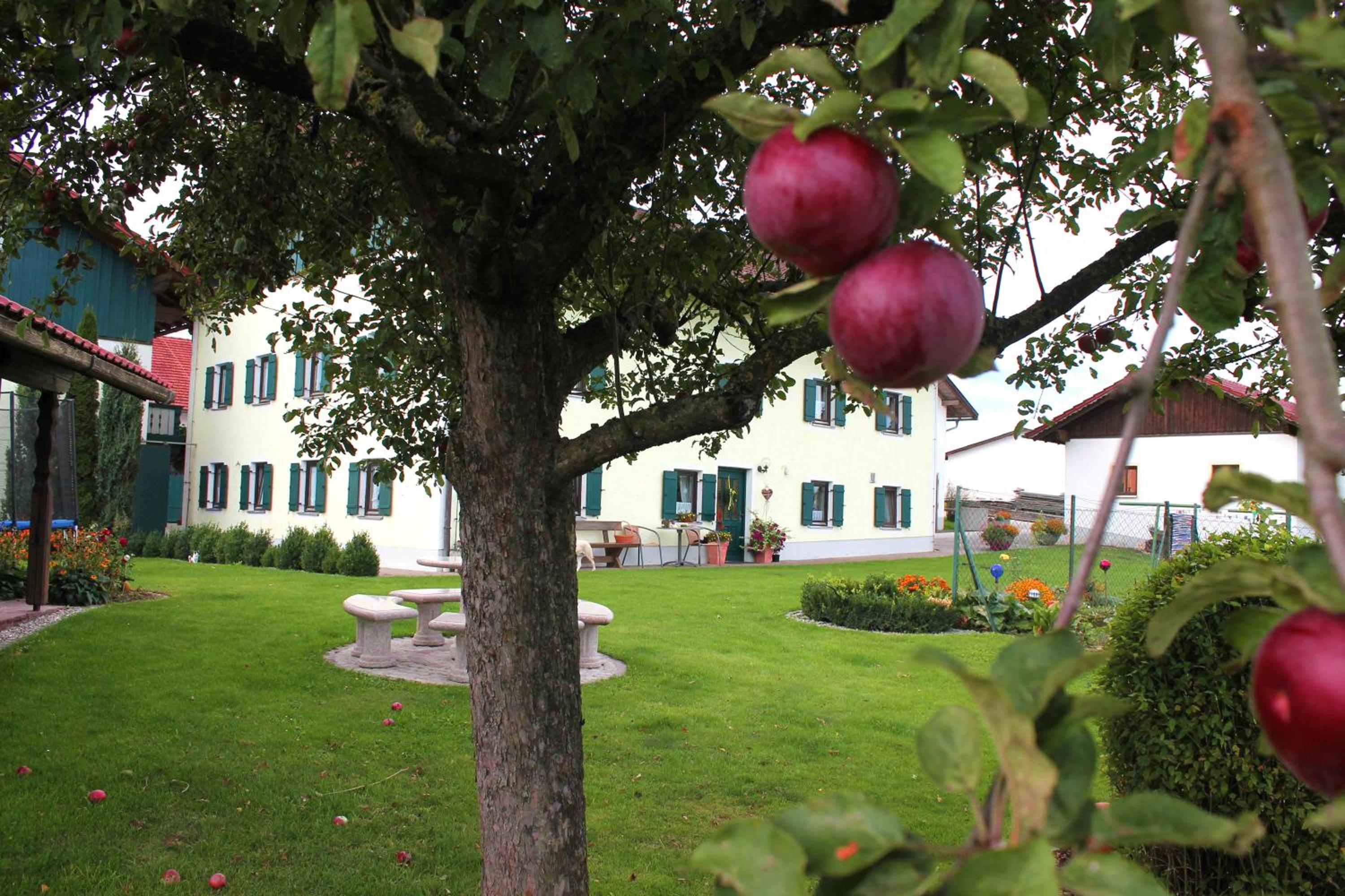 Ferienhof Obermaier view 2