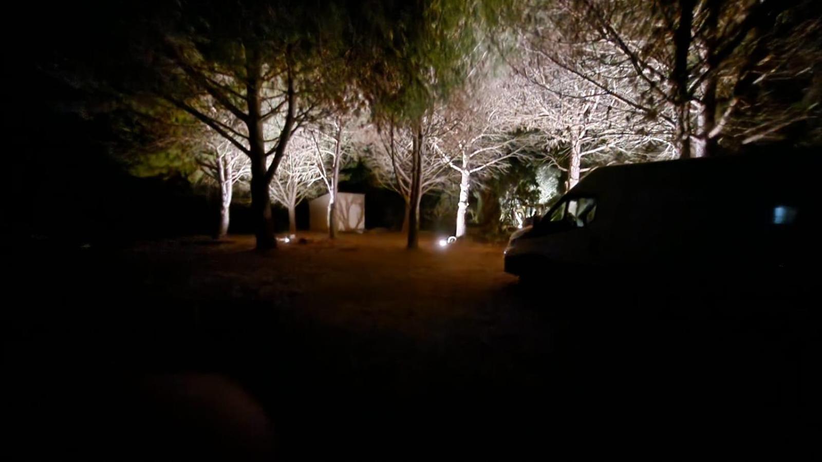 Domaine de l'Aumone, photo 21
