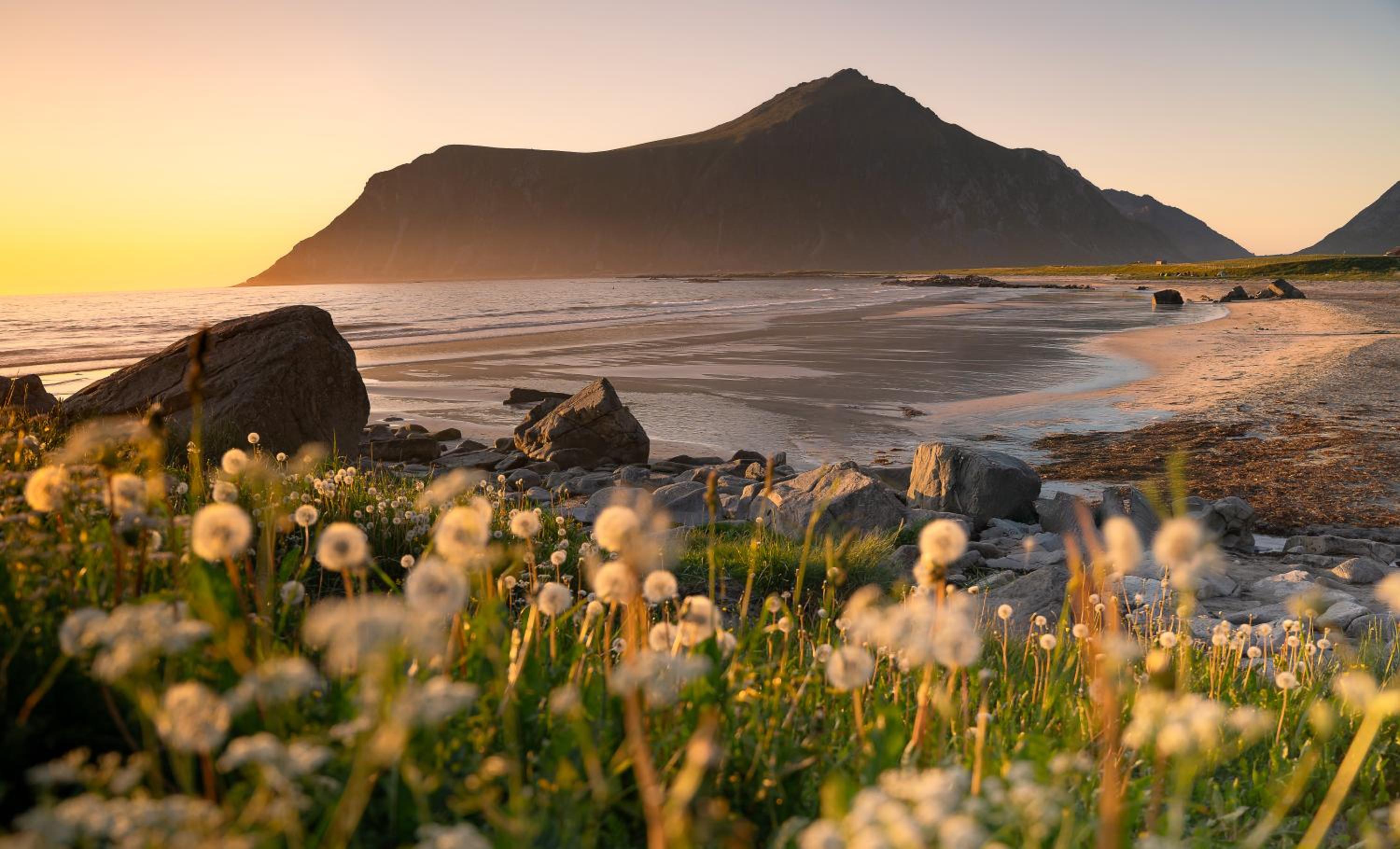Lofoten Lightscape