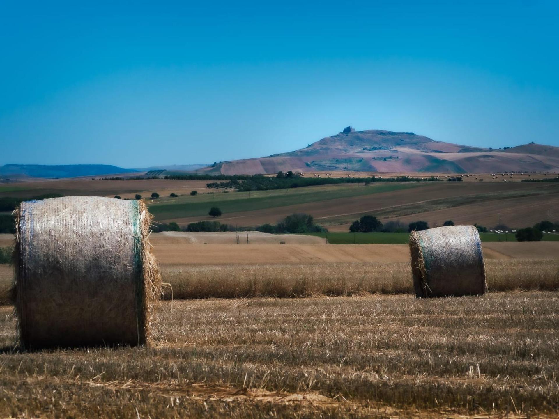 La Madonnella Home - locazione turistica in Puglia