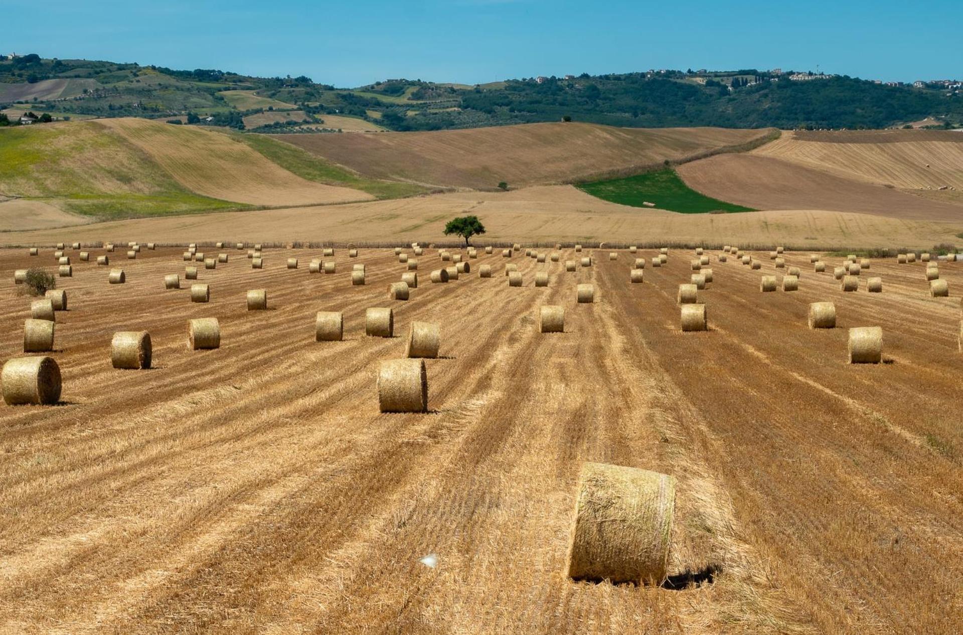 La Madonnella Home - locazione turistica in Puglia