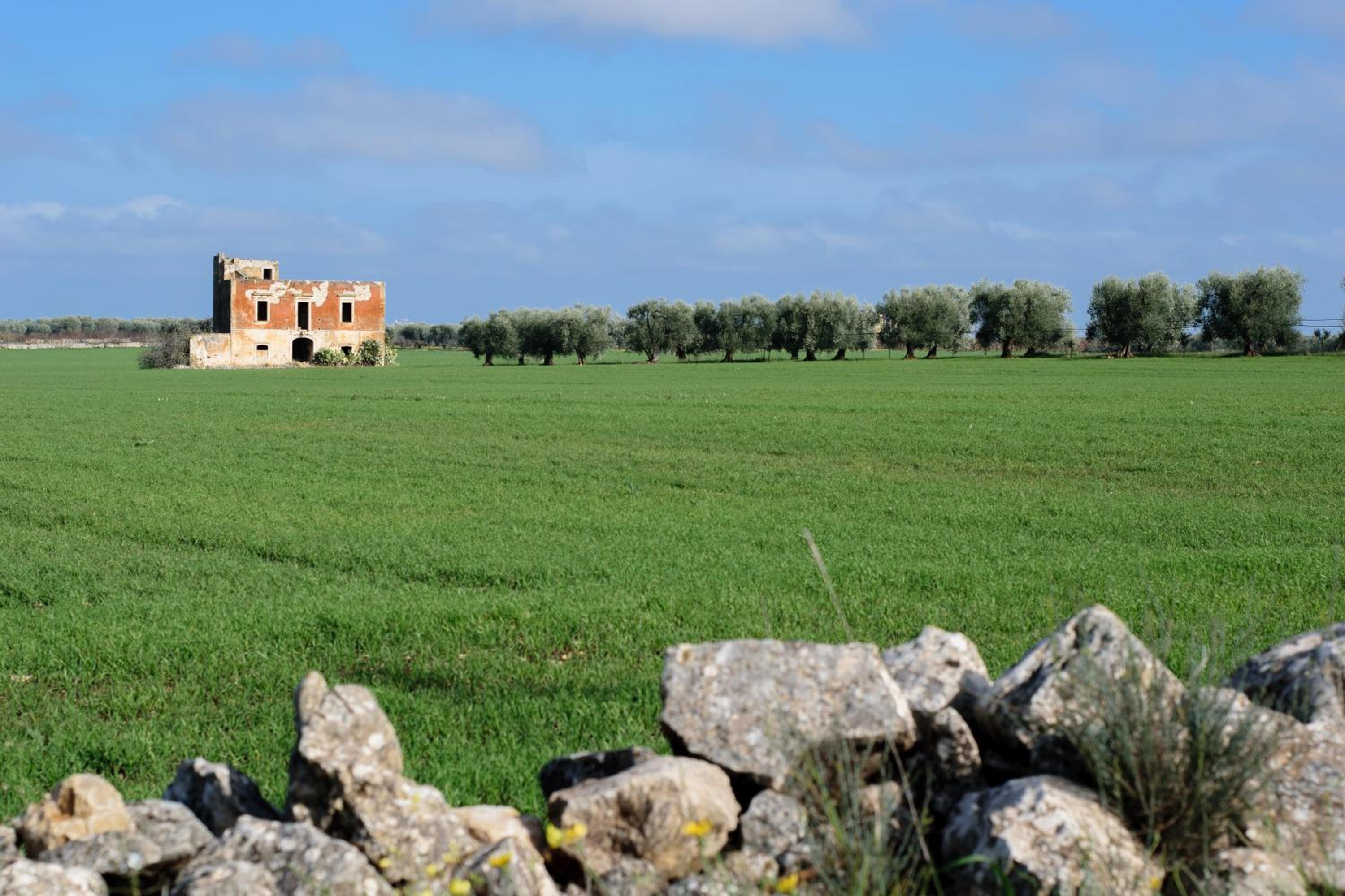 La Madonnella Home - locazione turistica in Puglia