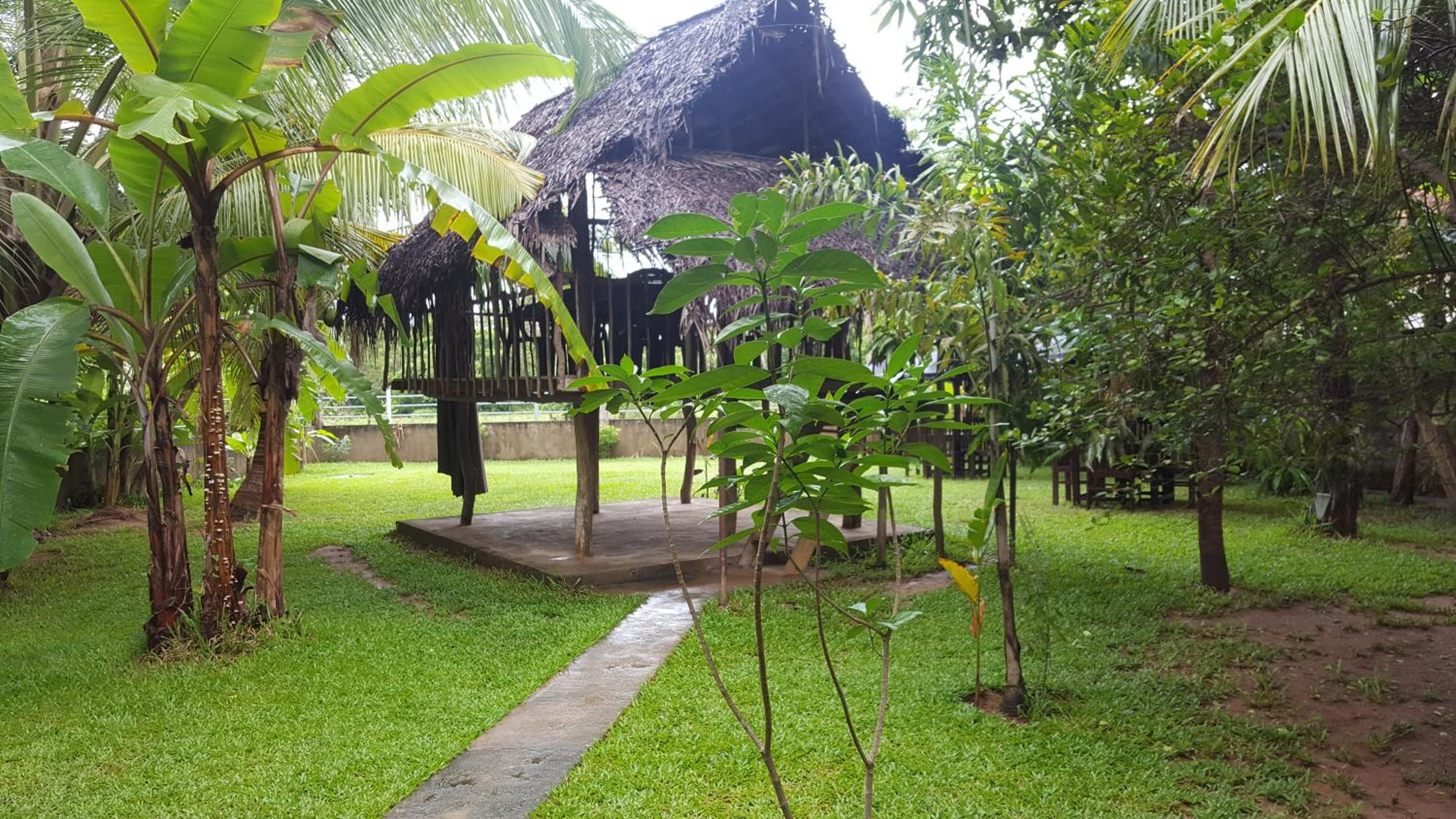 Photo 49