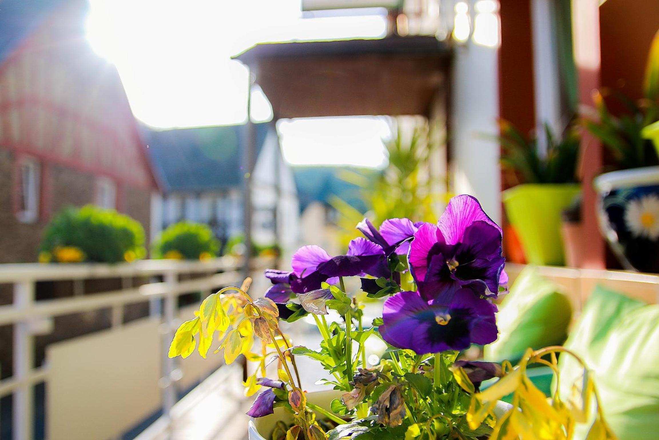 Gasthaus Tannenhof
