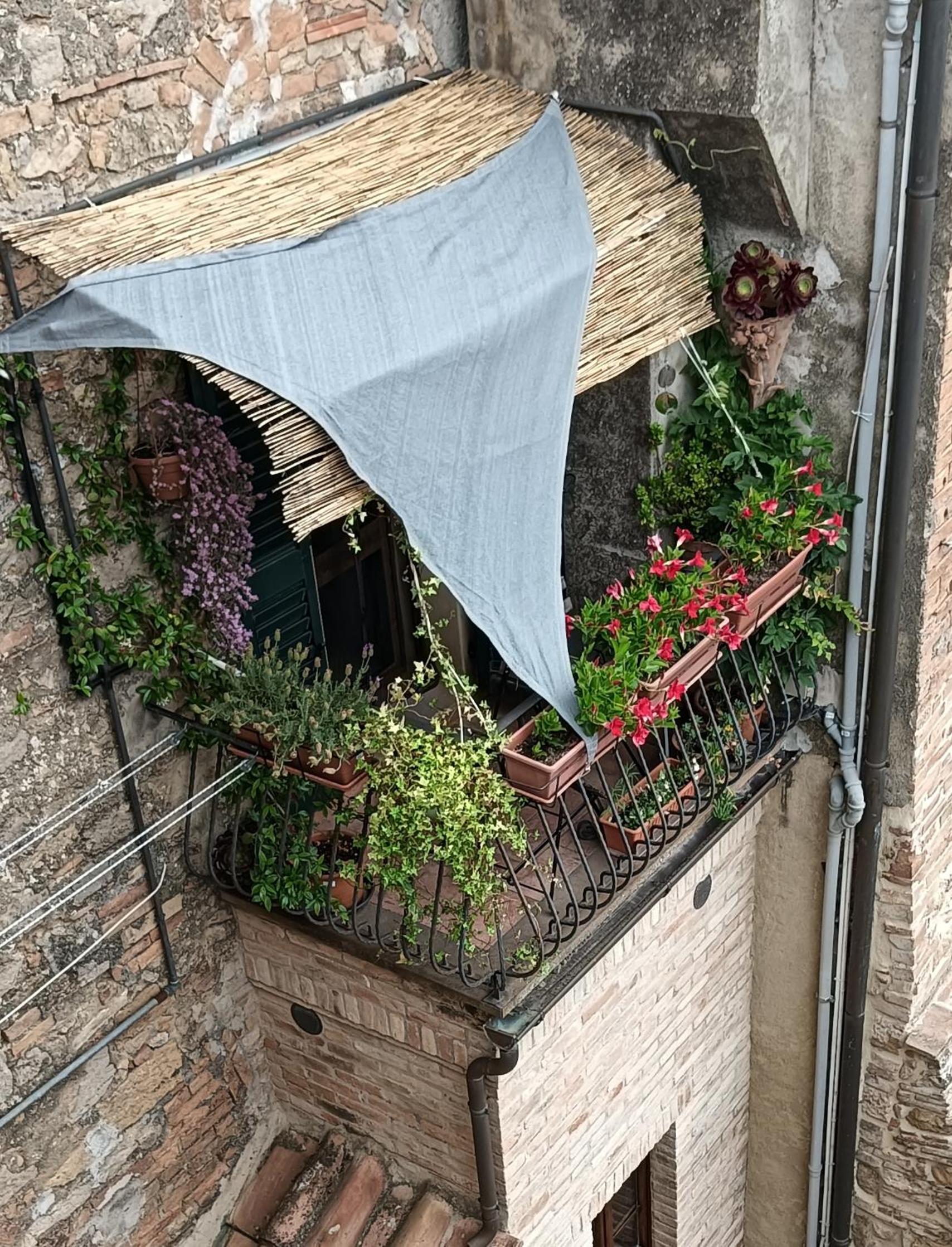 Toscanamente, photo 10