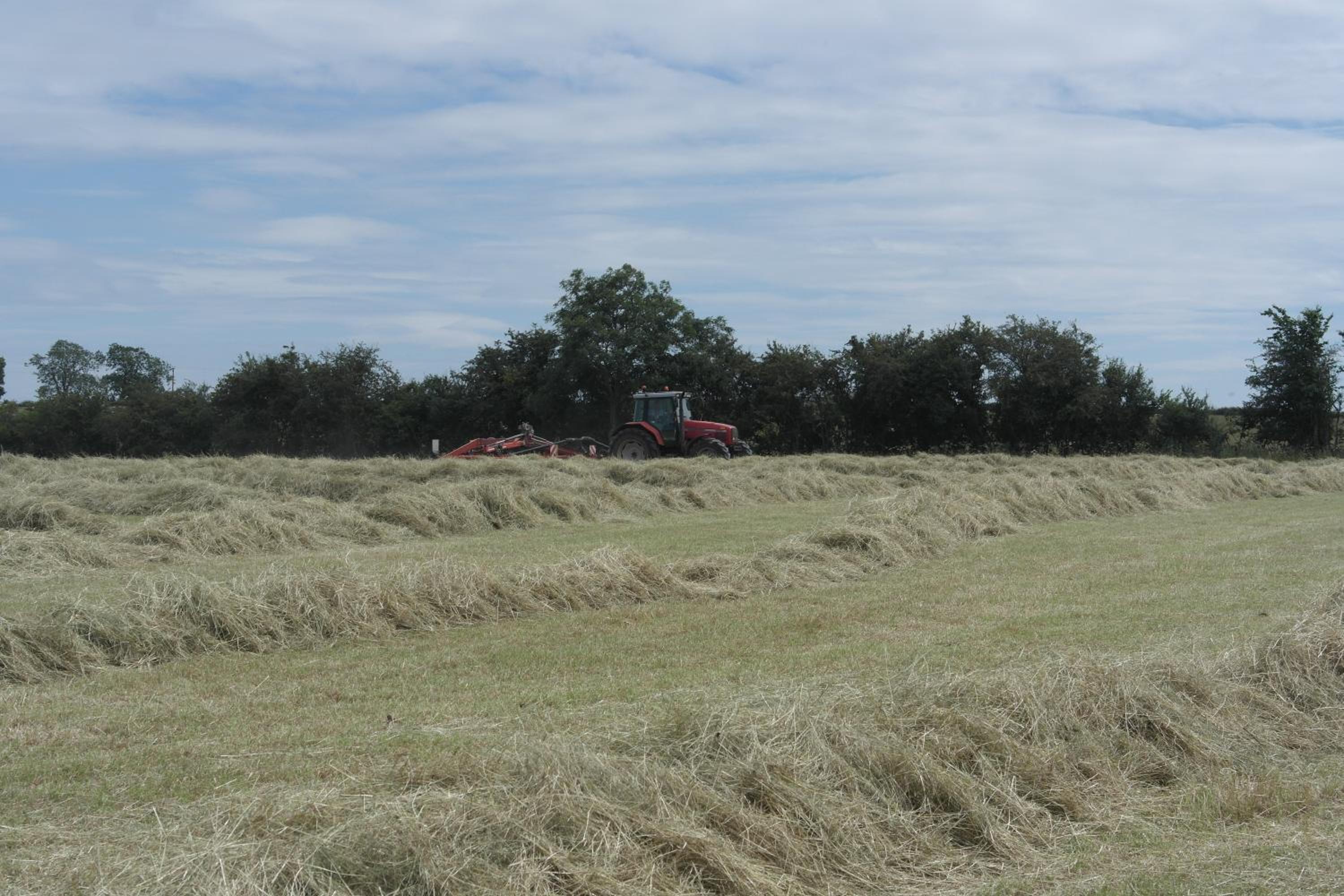 Handley Barn view 4