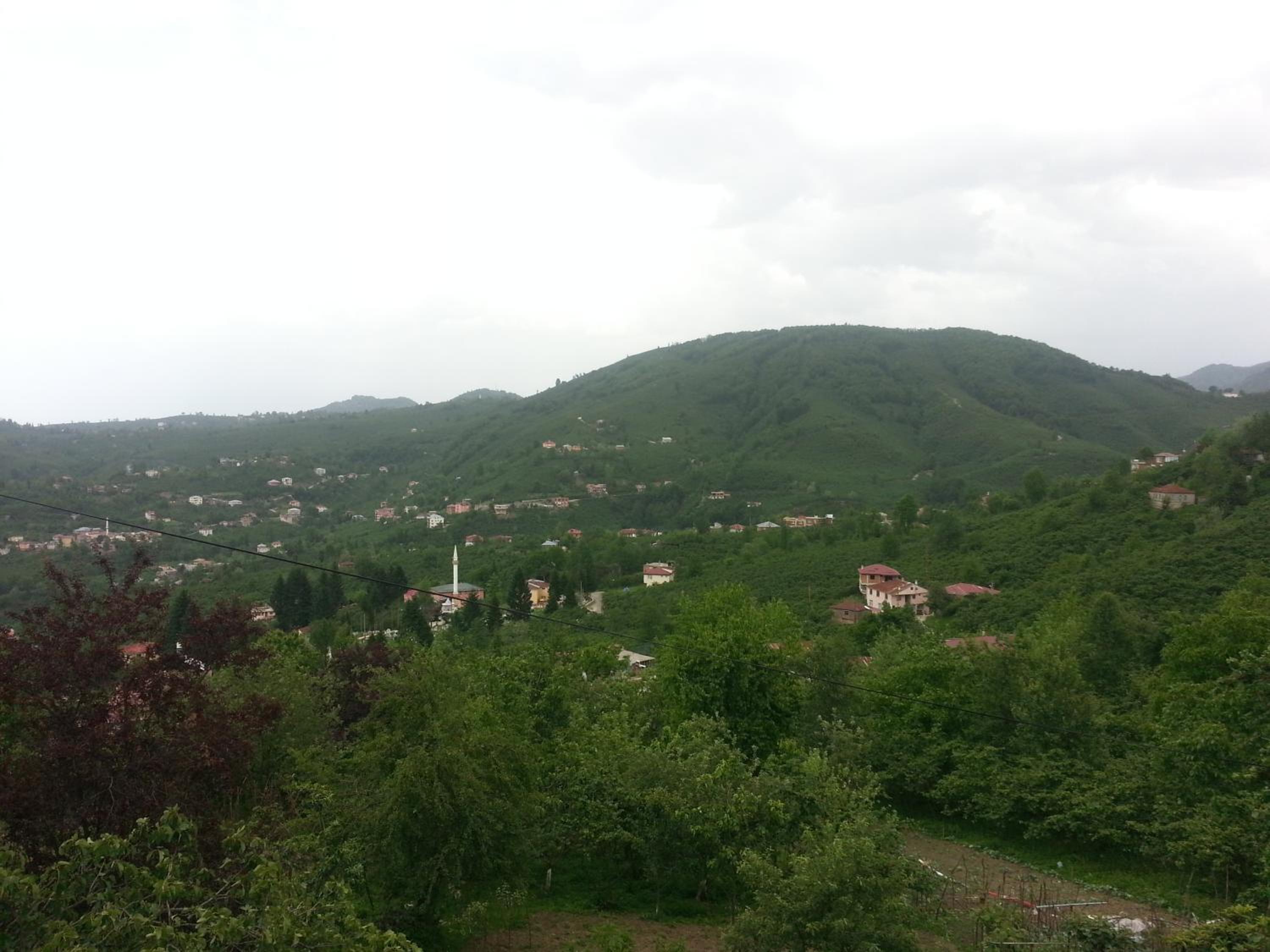 Photo 49