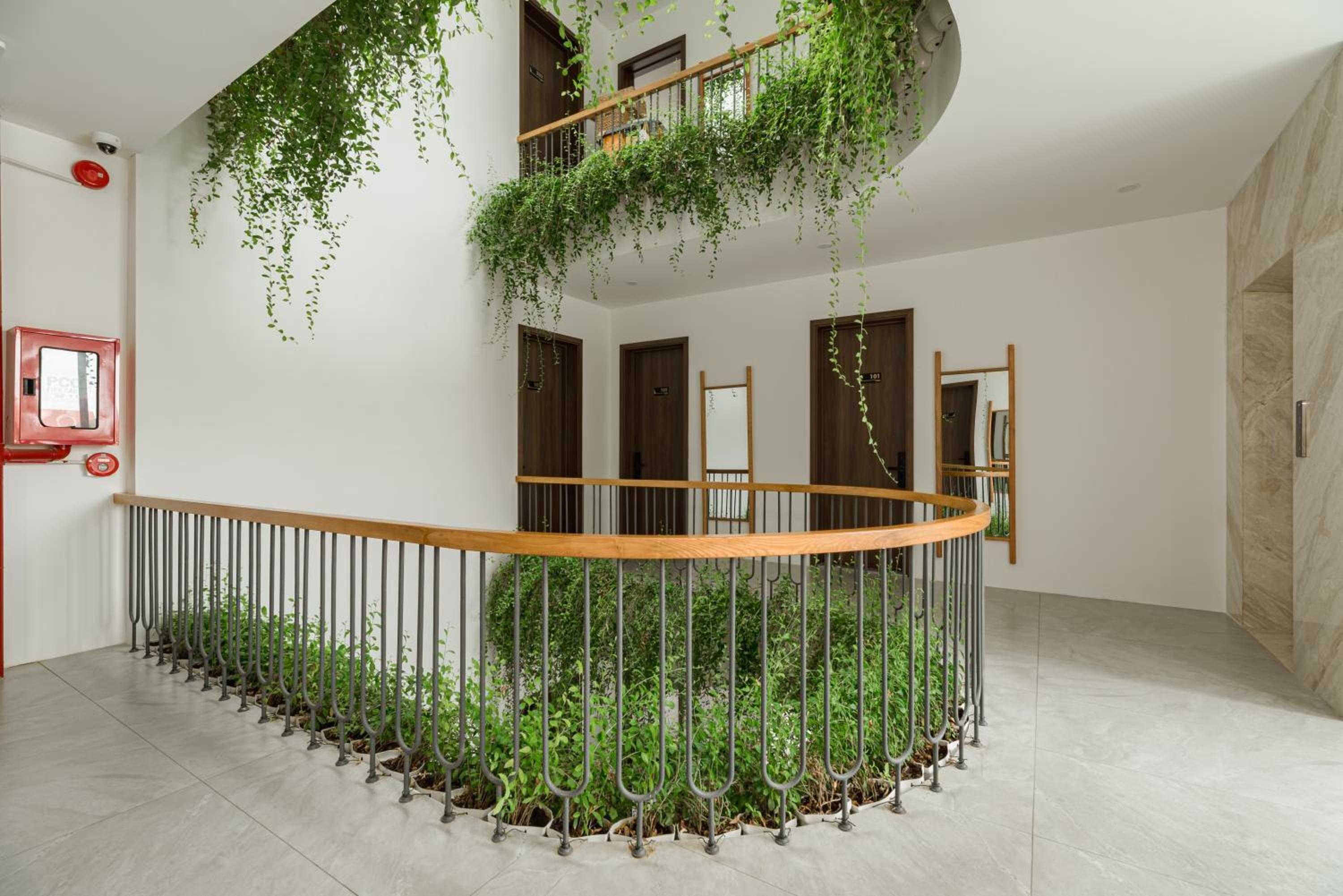Panda Garden Hotel - Apartment