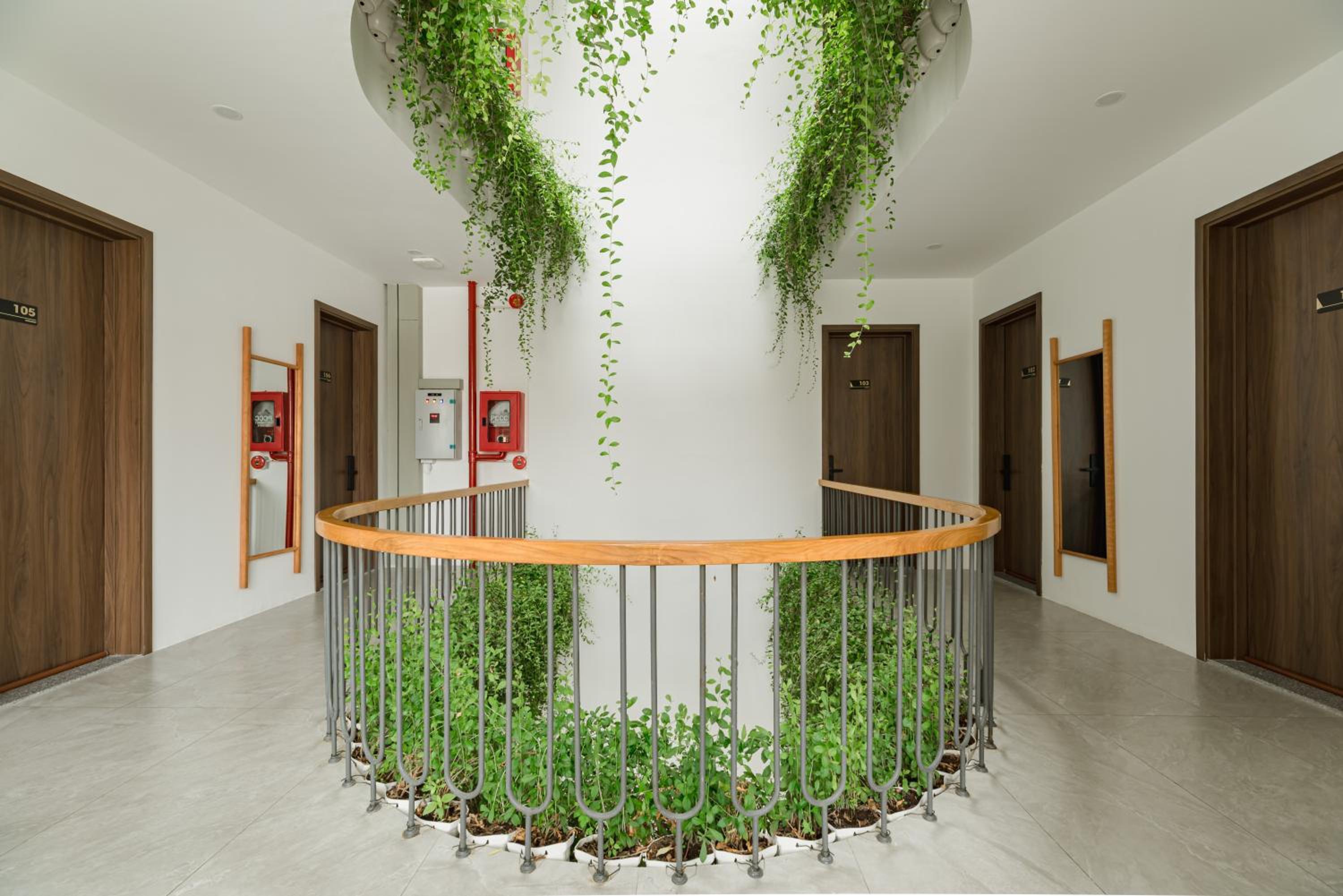 Panda Garden Hotel - Apartment