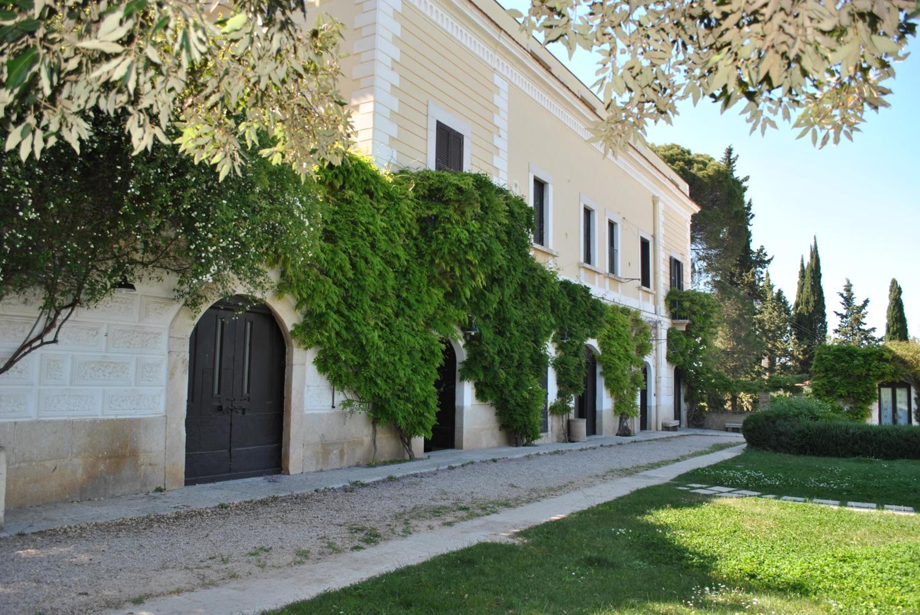 Photo 27