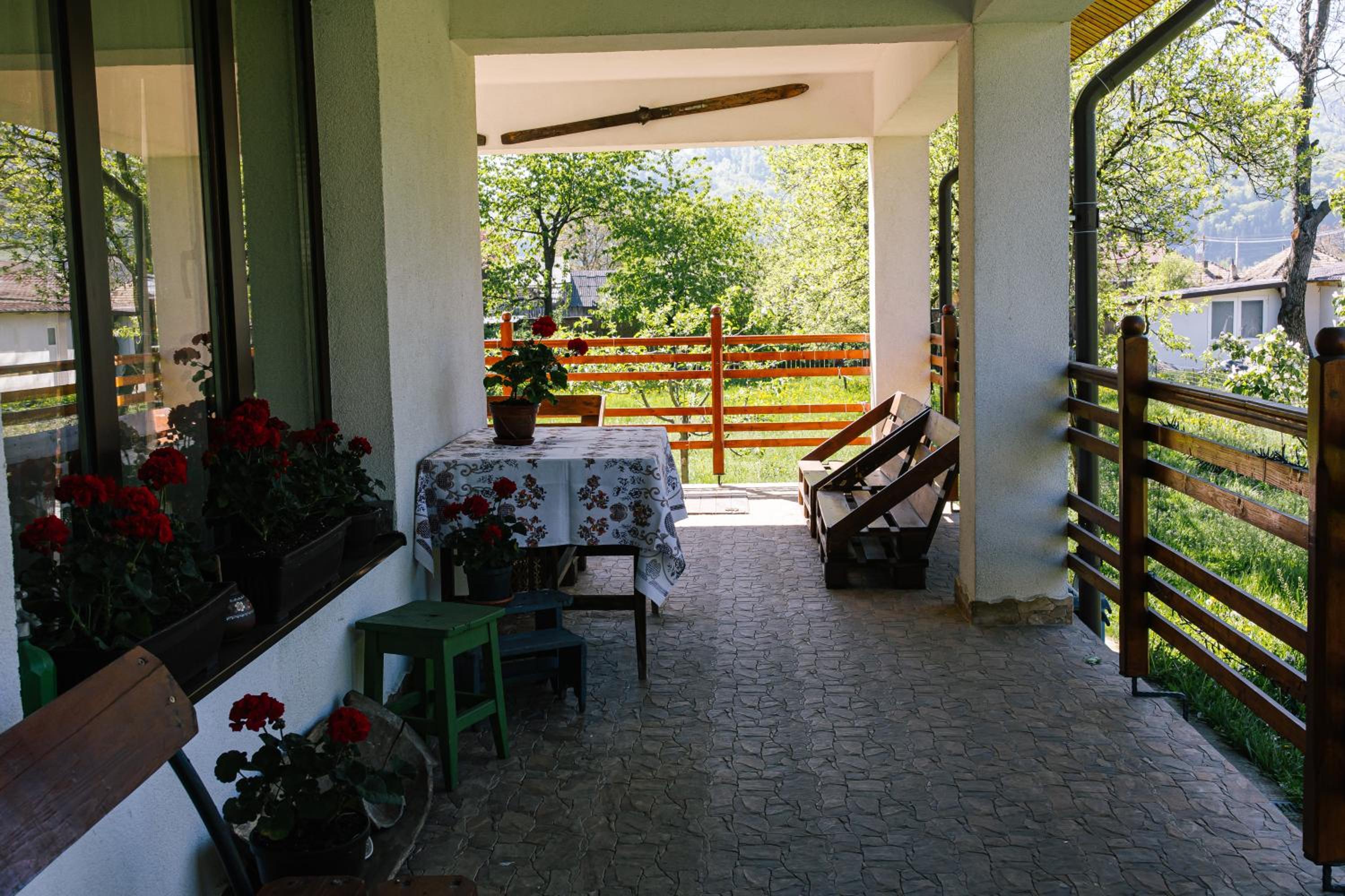 Photo 26