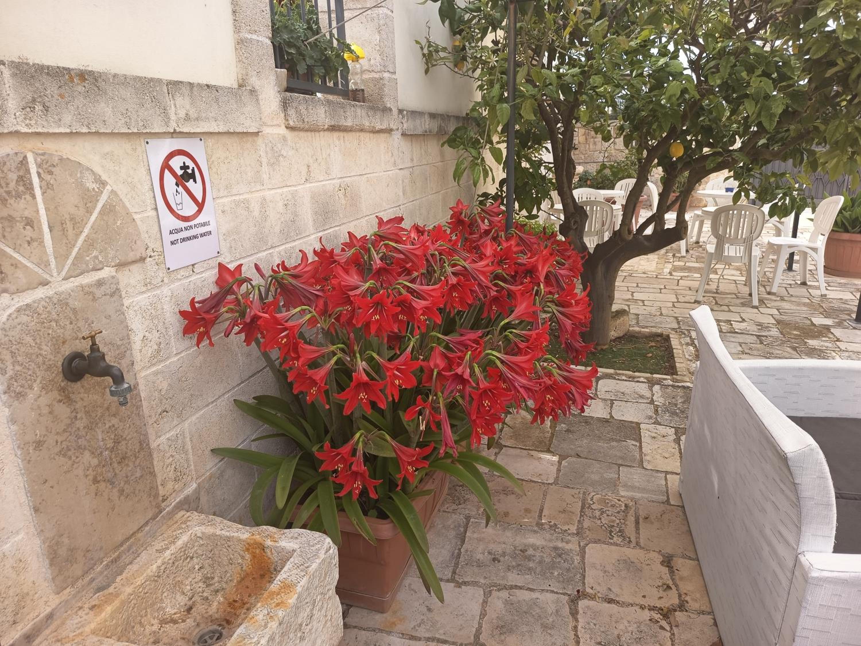 Photo 48