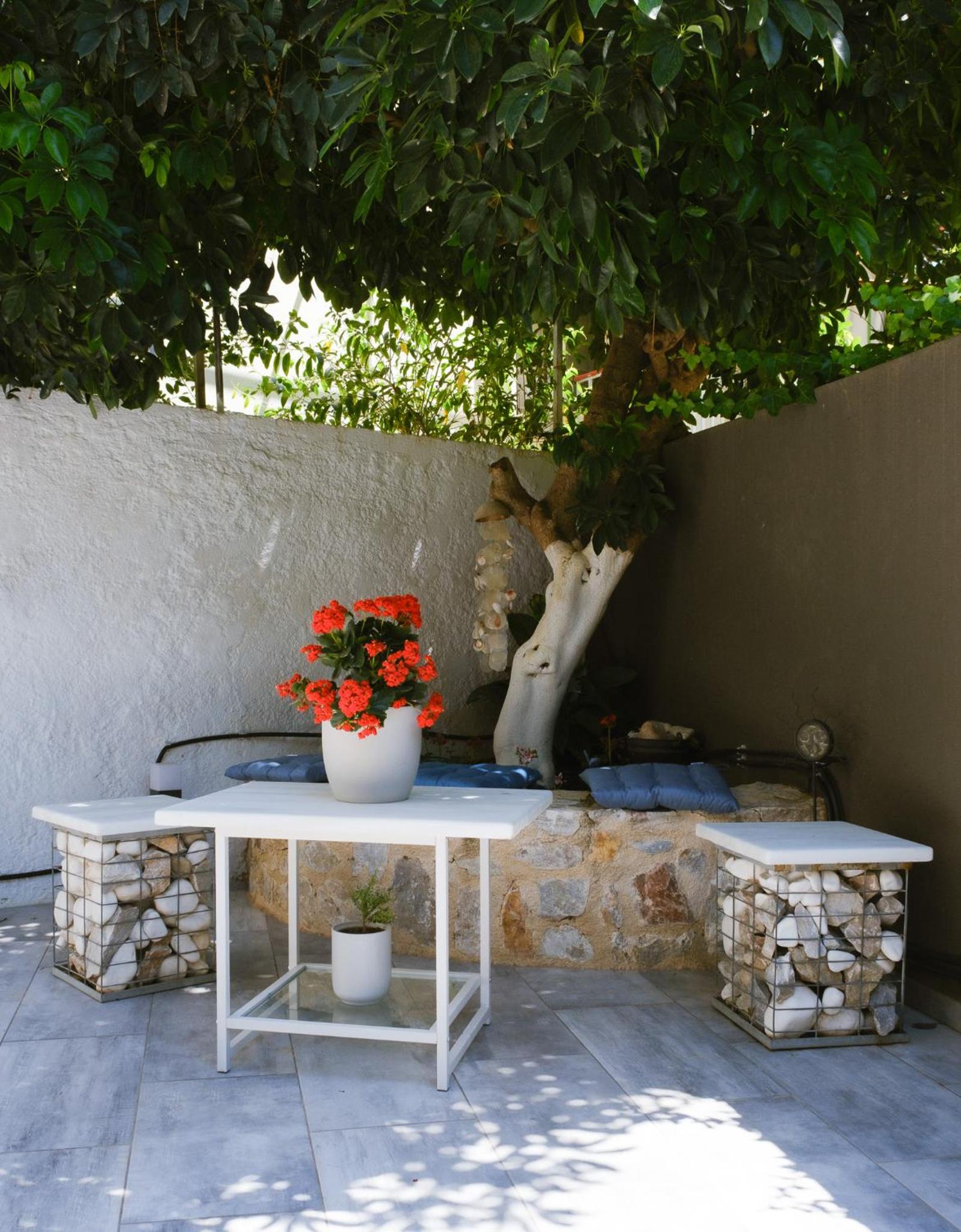 Viorelia's Home