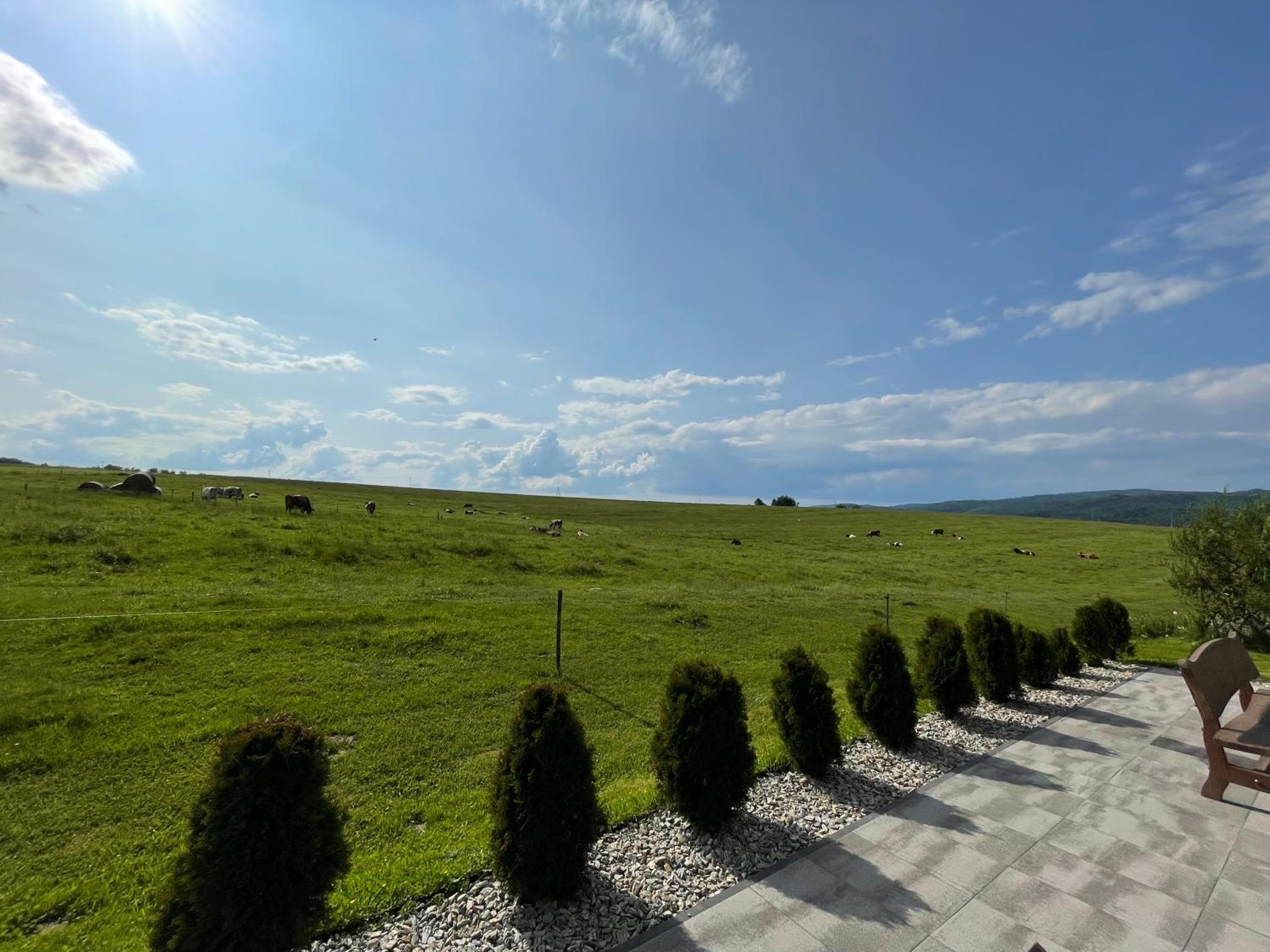 Apartament CEKO