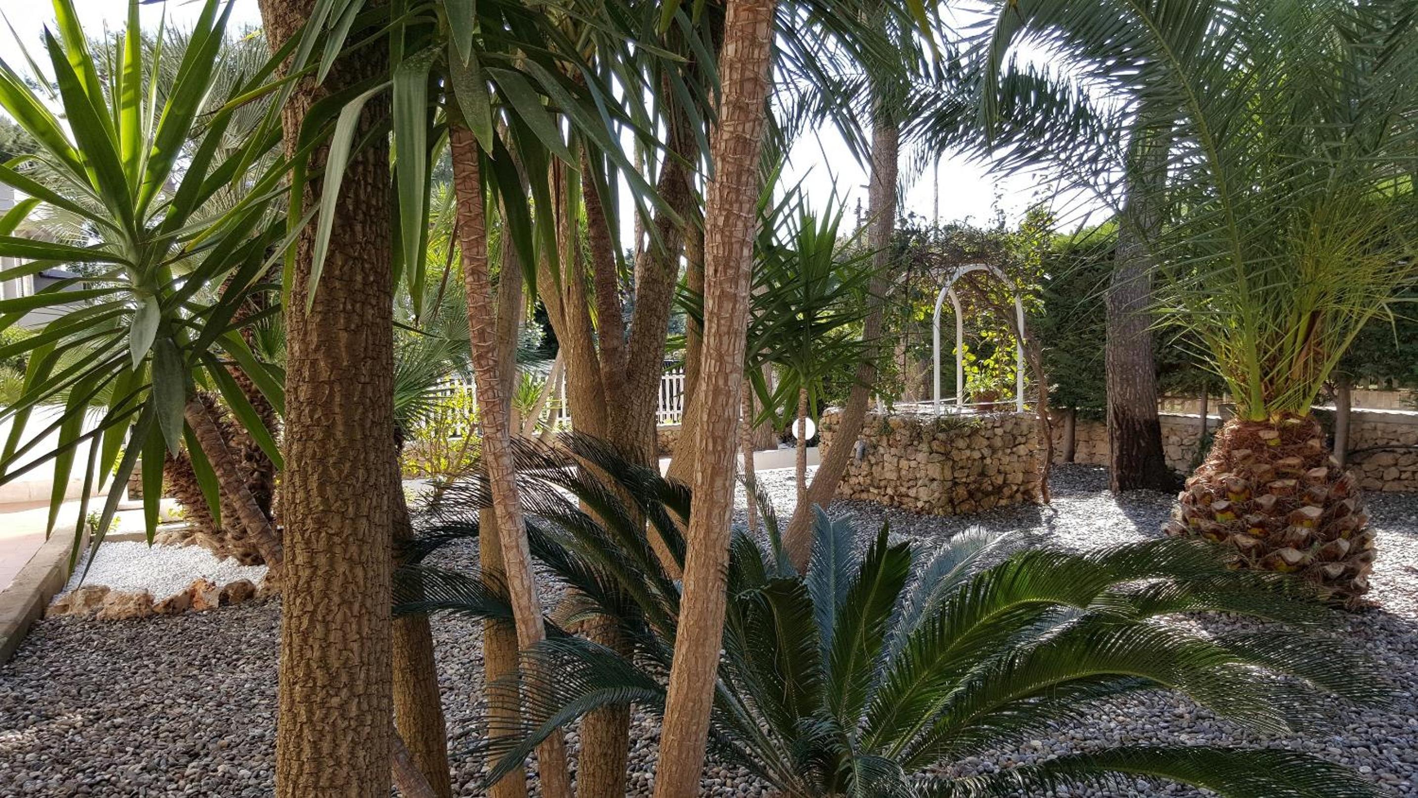 Phalanthos B&B view 5