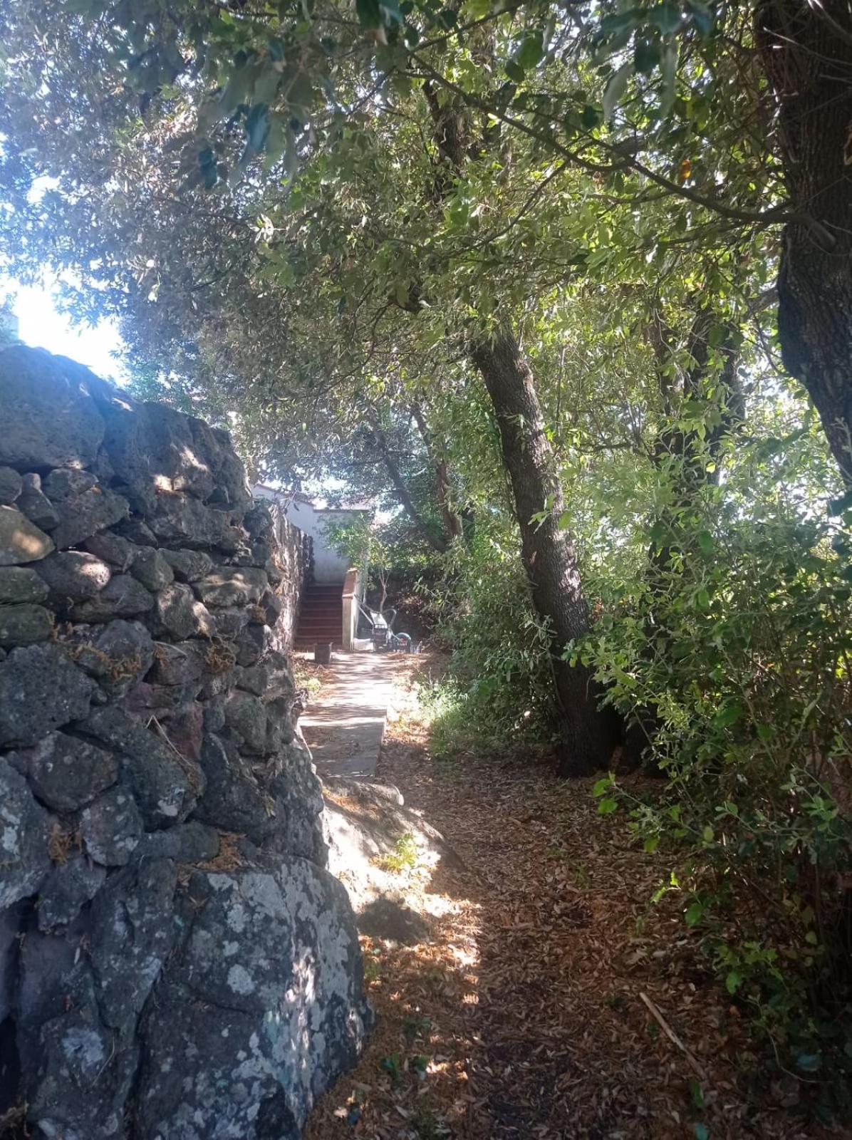 i giardini di Ailobran