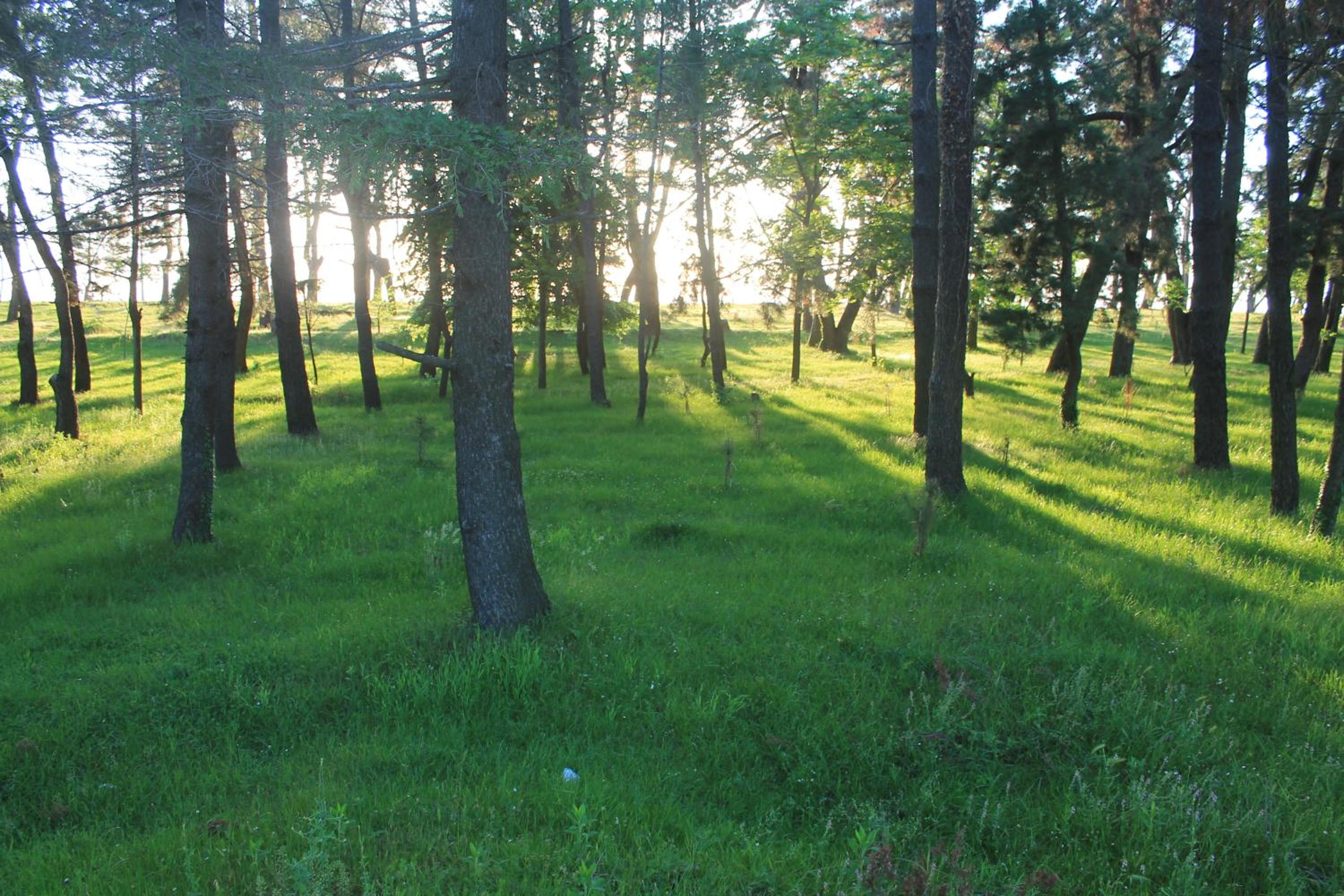 Zuras Apartment Kobuleti