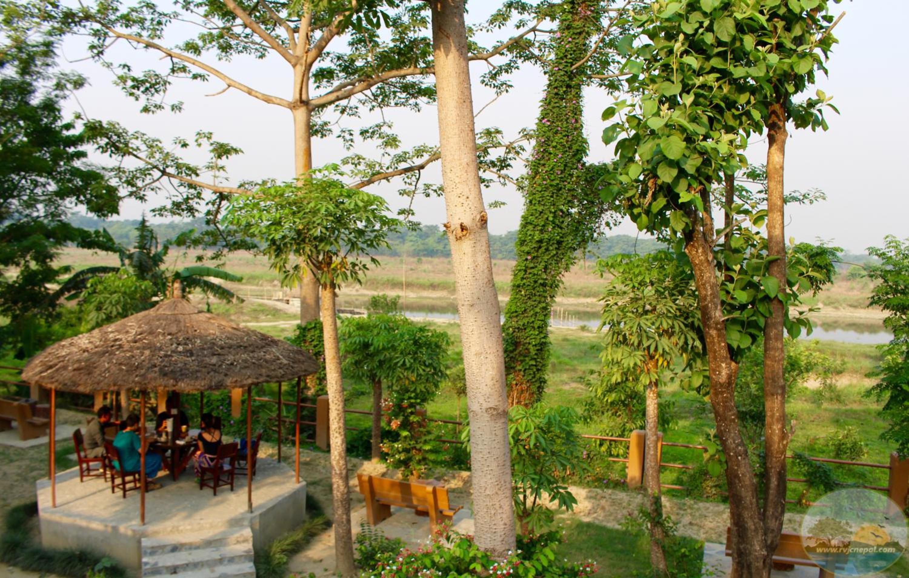 River View Jungle Camp