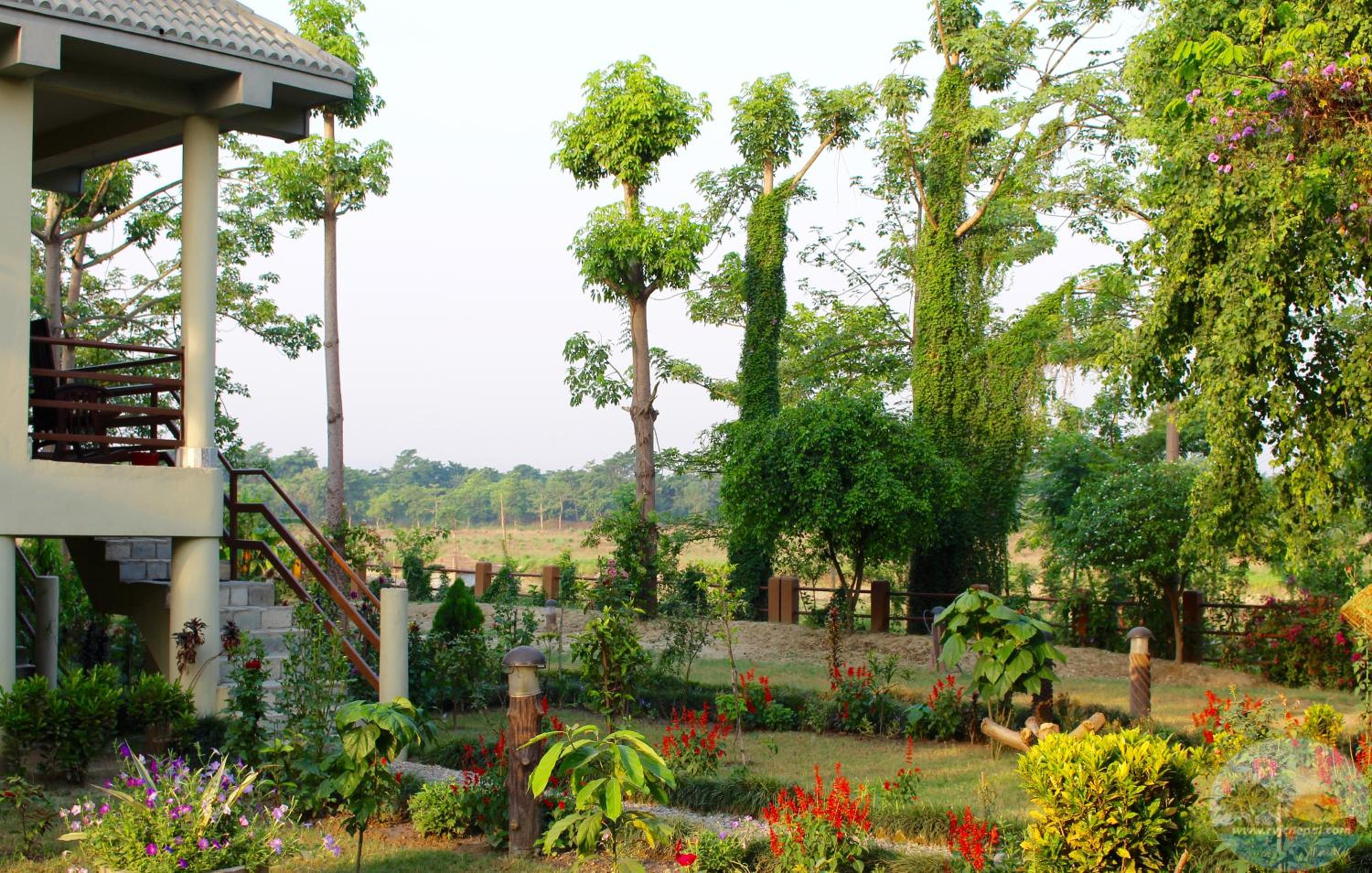 River View Jungle Camp