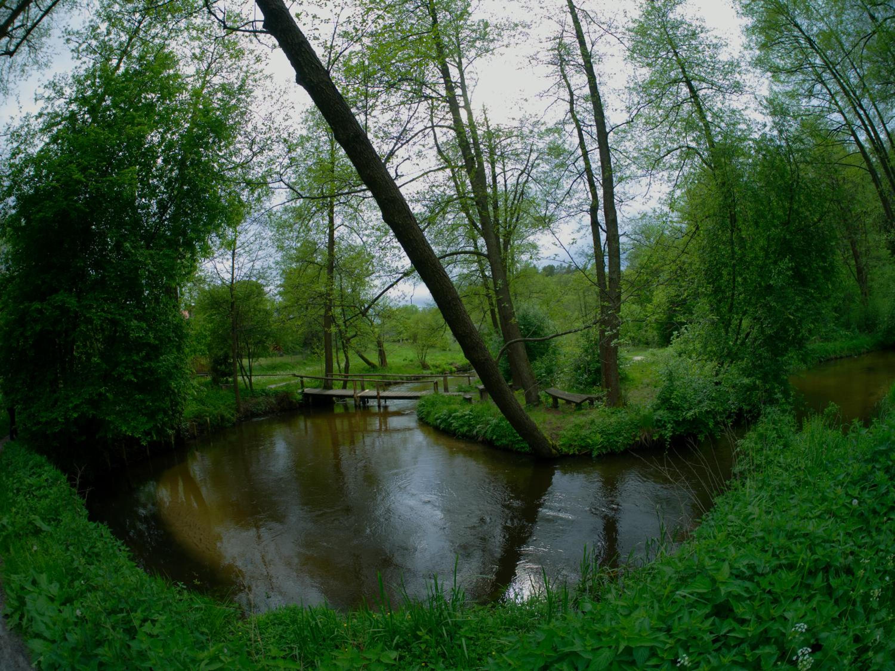 Photo 57