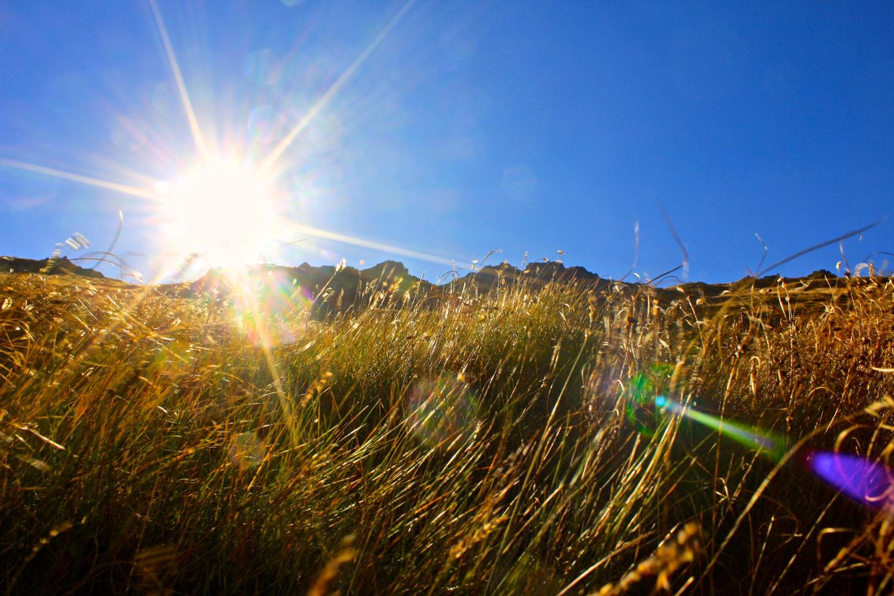 Photo 27
