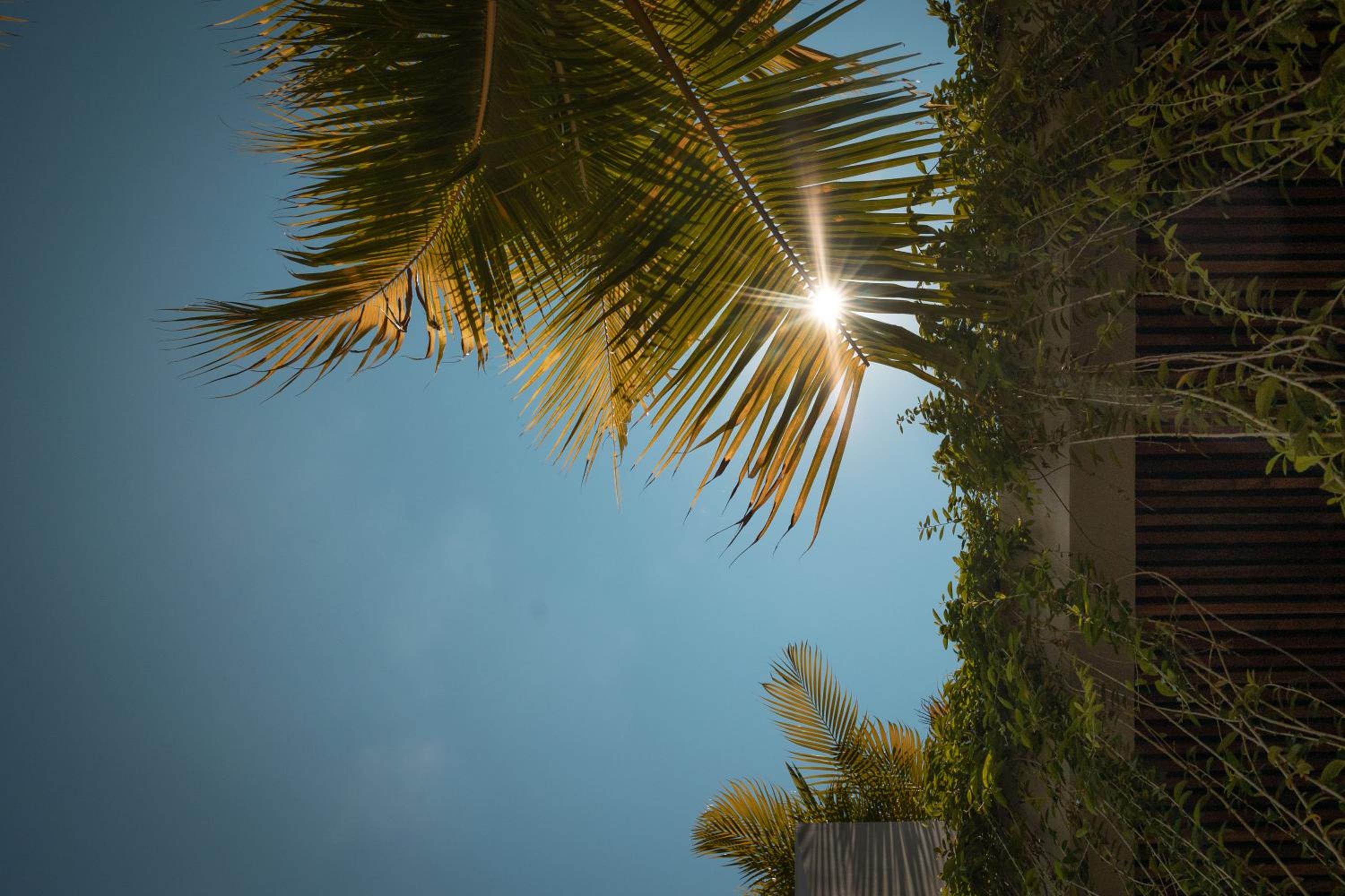 Villa FEH Bali by House of Winds - Neo Tropical Eden near Canggu