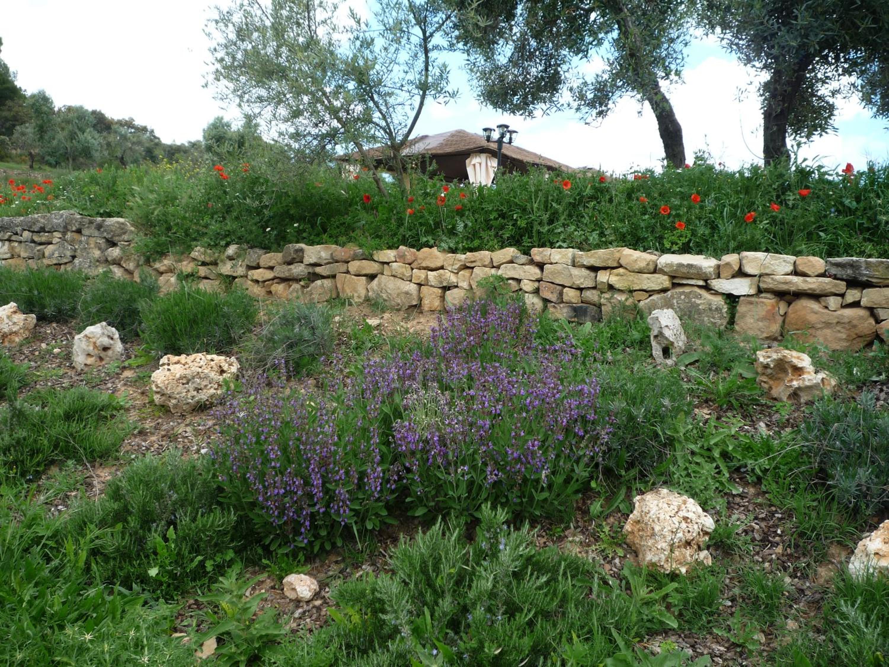 Photo 26