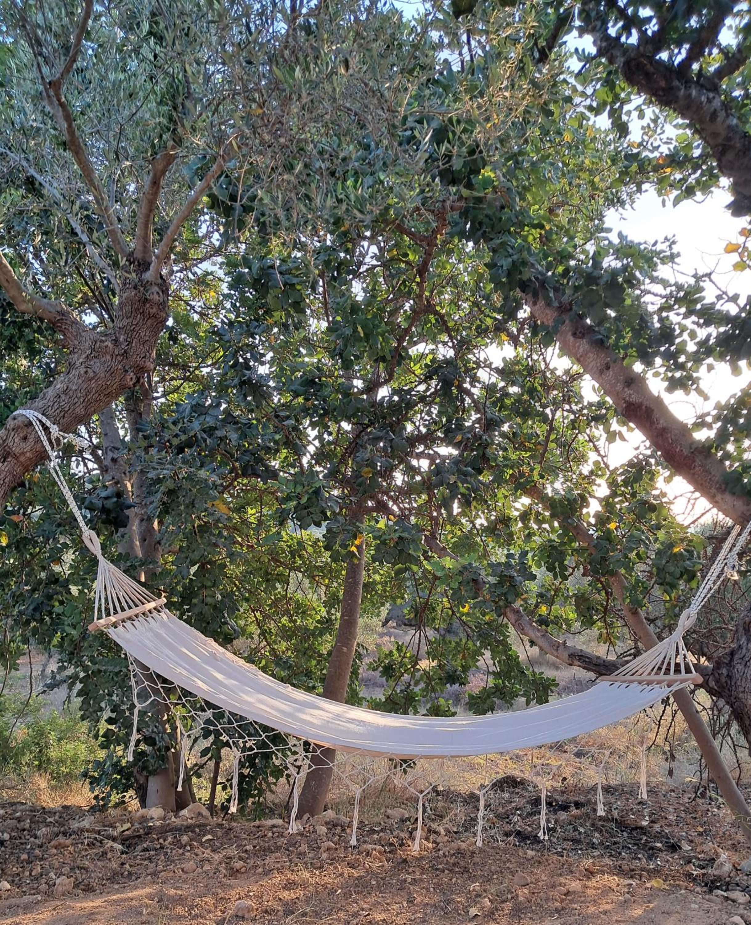 OLIVE LAND - ΓΗ ΤΗΣ ΕΛΙΑΣ / STONE VILLA.