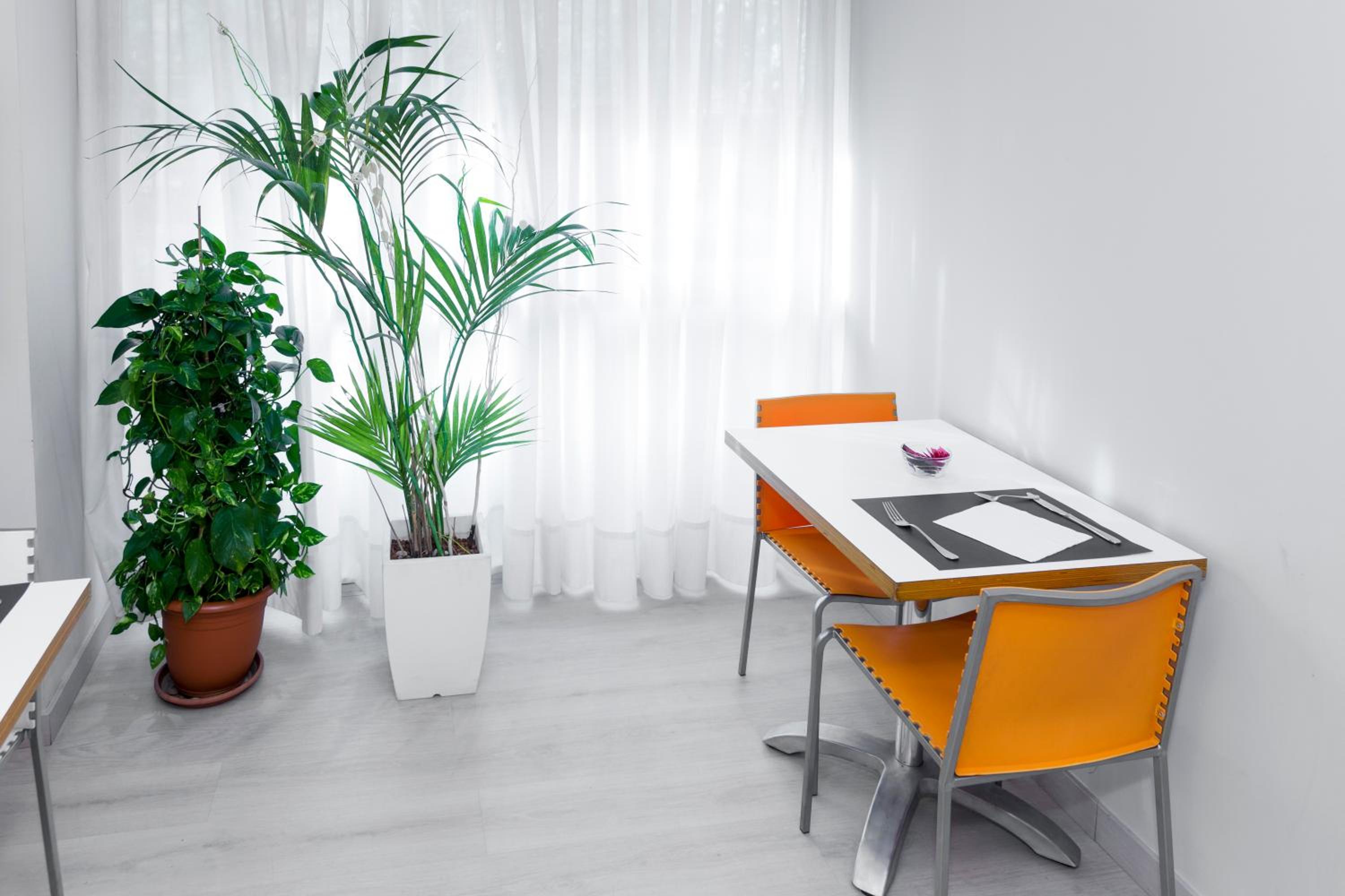 Hostal Aslyp 114
