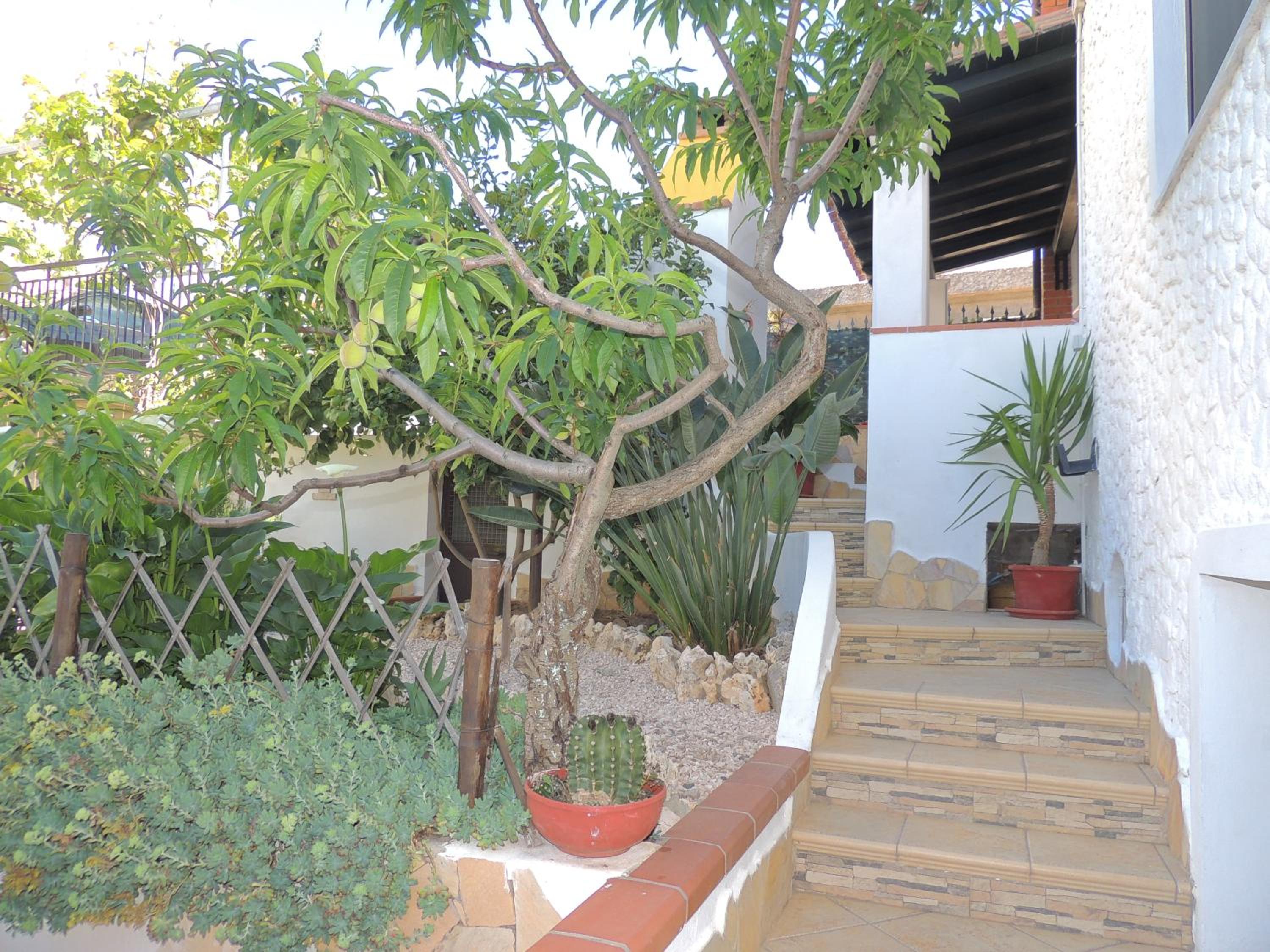 Photo 40