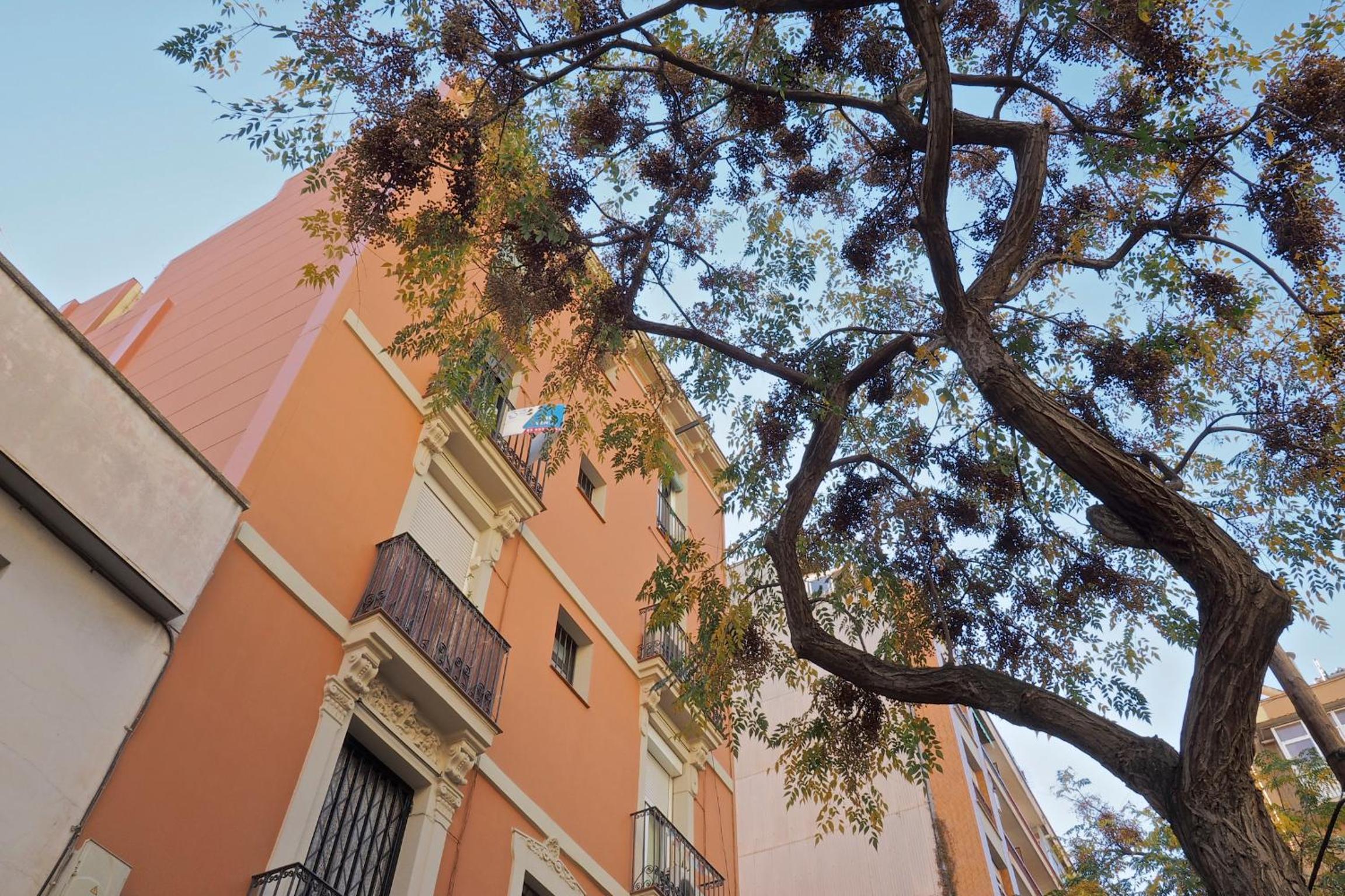 Sunny Apartments Barcelona