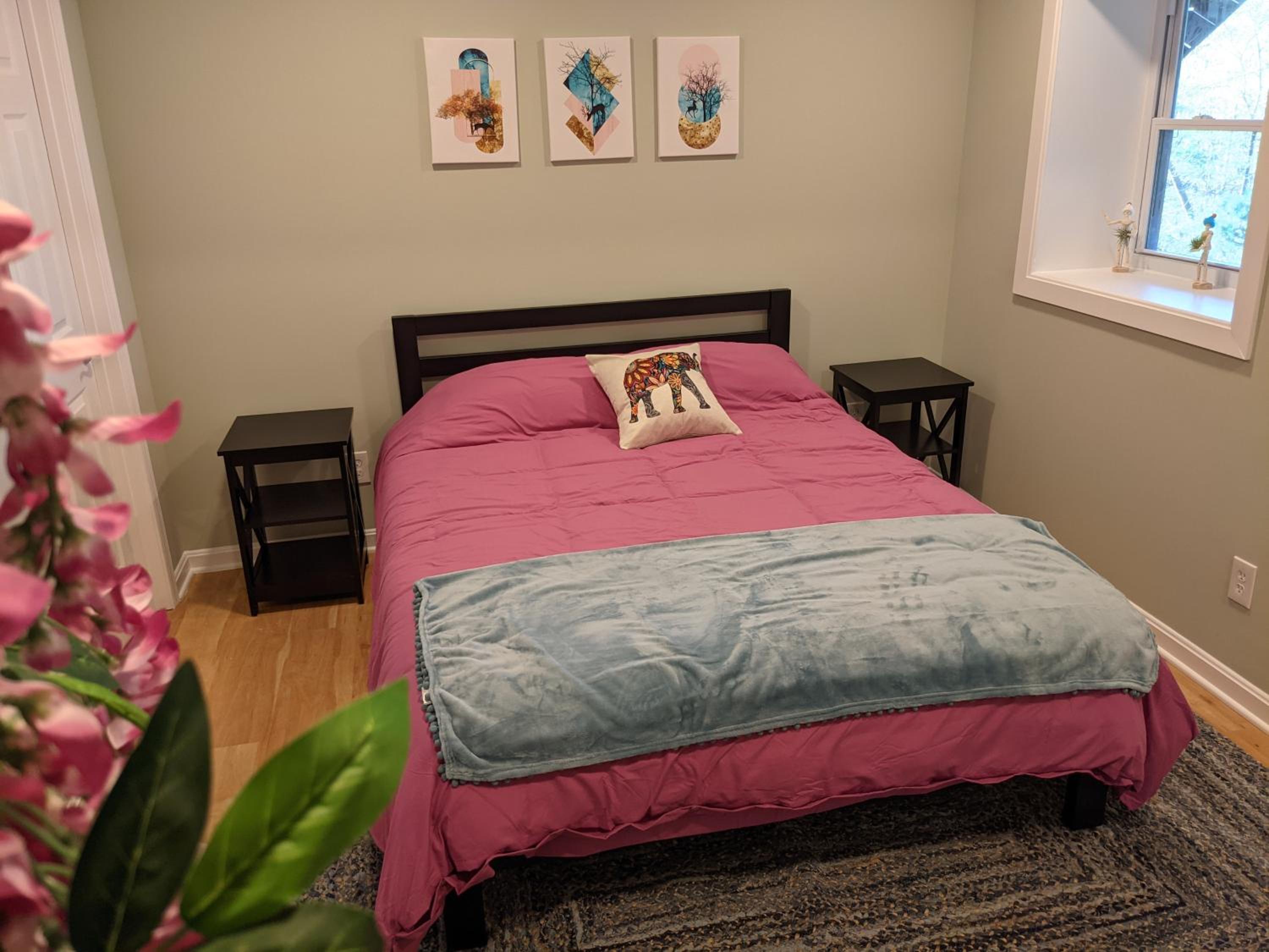 Shenandoah Thunder Chalet Guest Suite