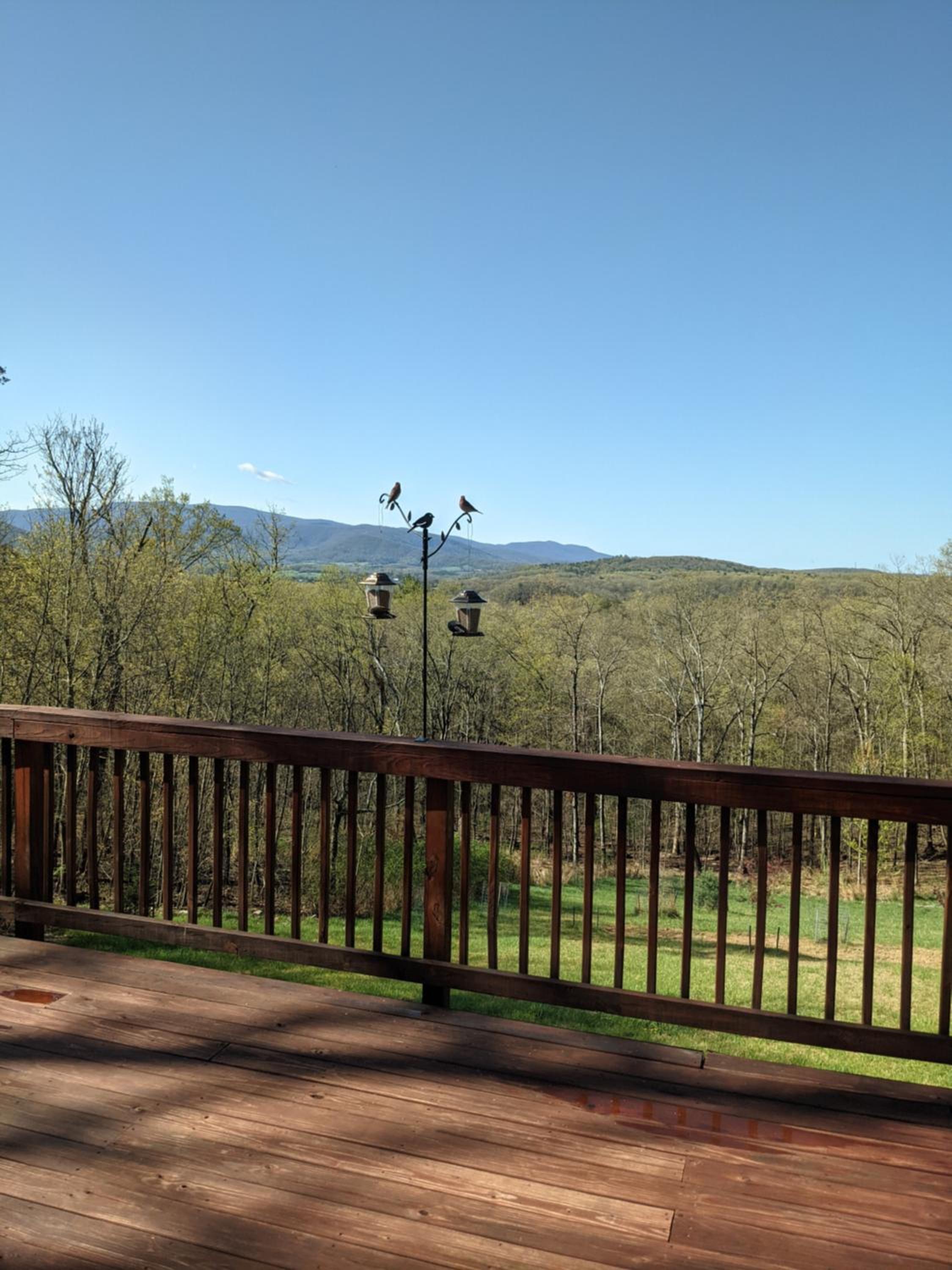 Shenandoah Thunder Chalet Guest Suite
