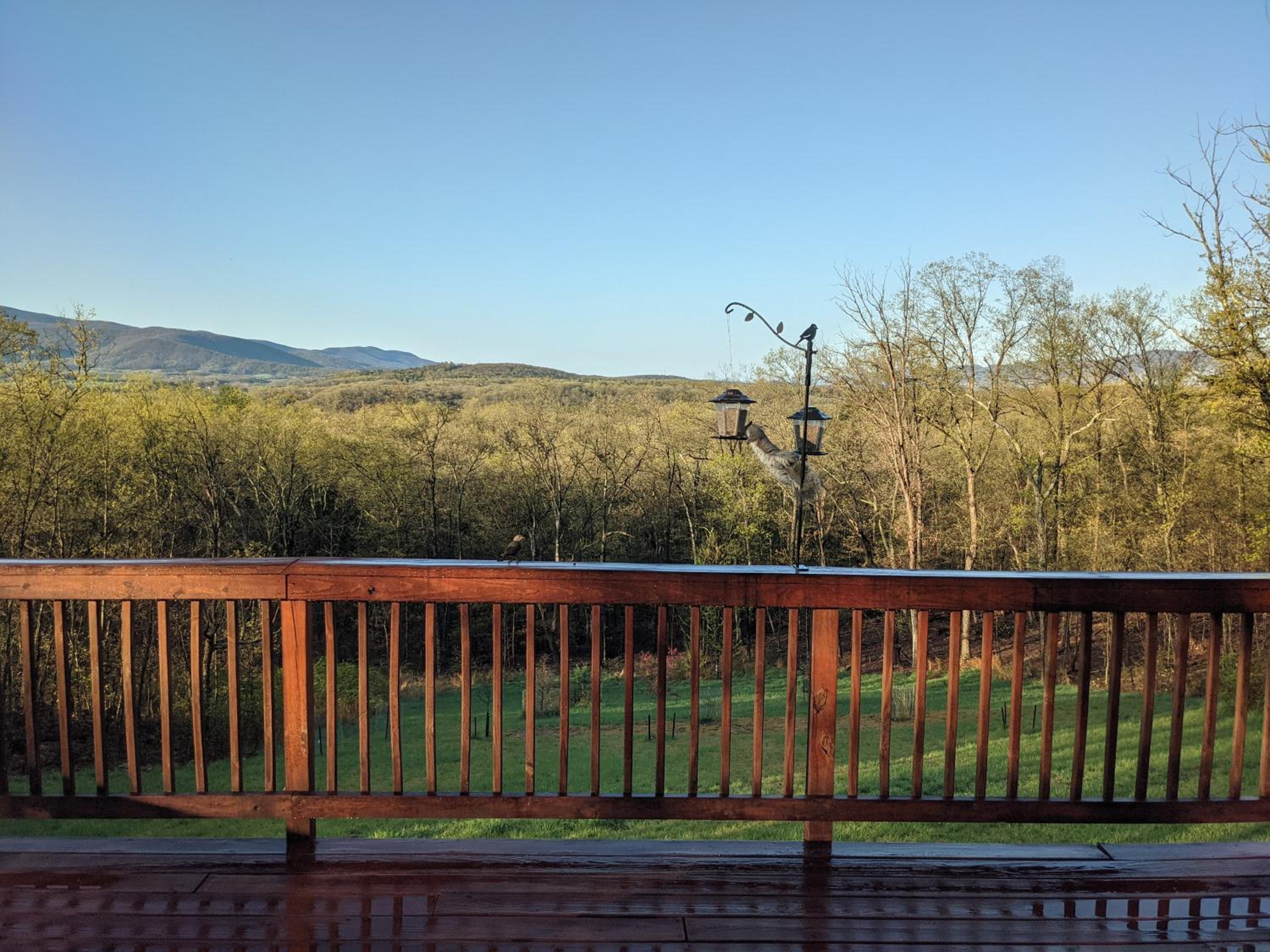 Shenandoah Thunder Chalet Guest Suite